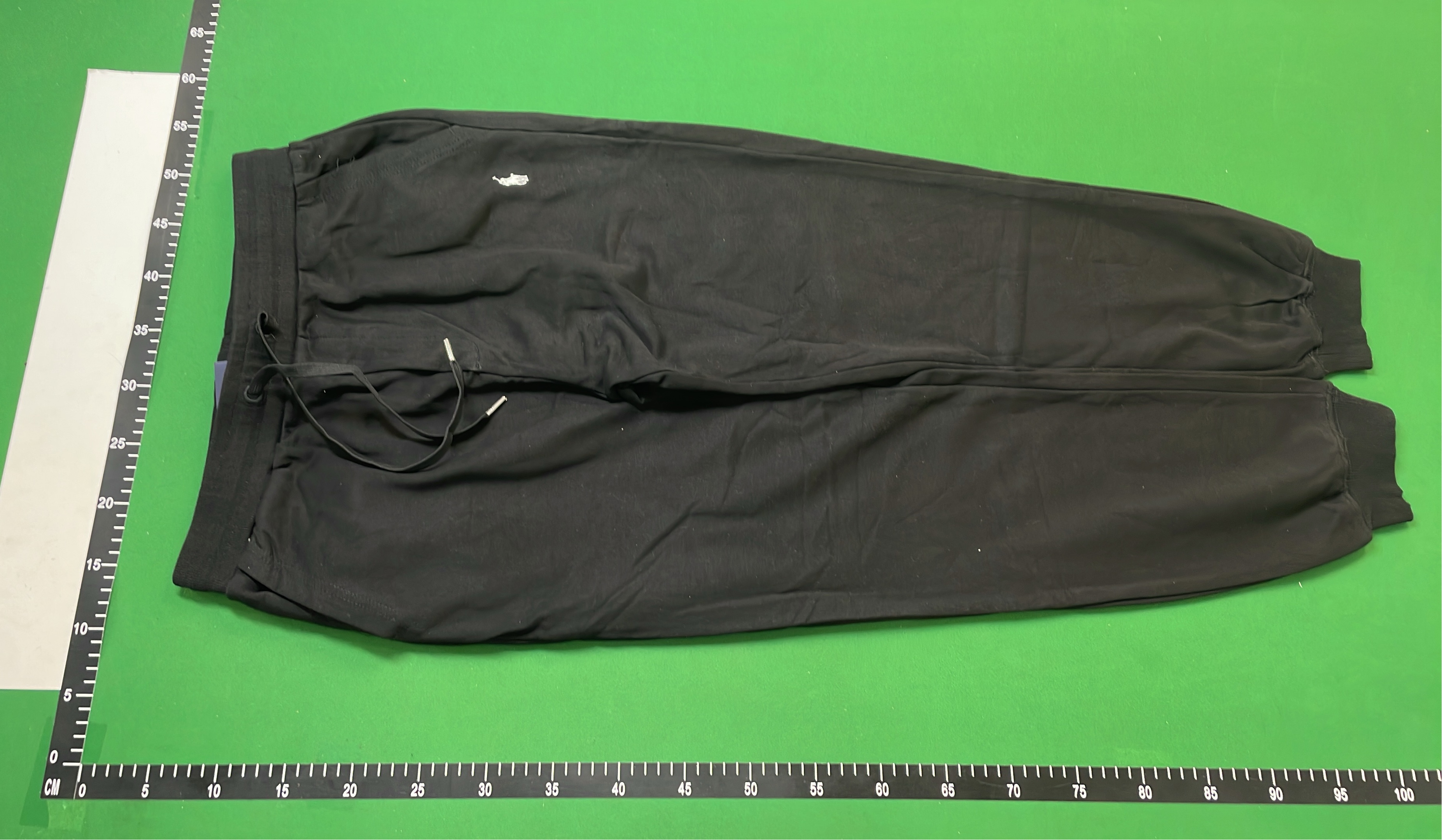 Polo Ralph Lauren Hoodie and Jogger Set