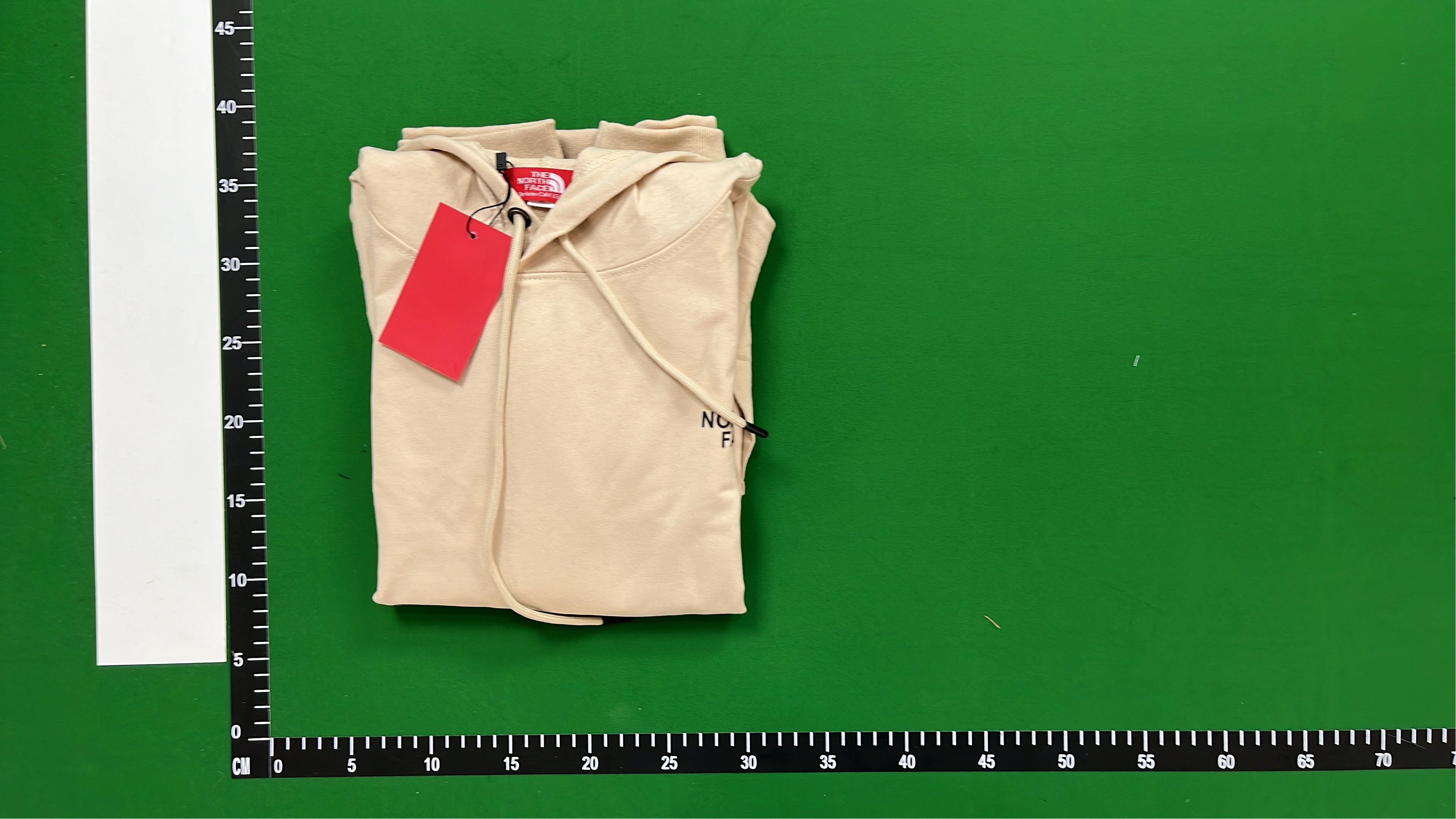 The North Face x Gucci Collaboration Sweatshirt - Limited Edition