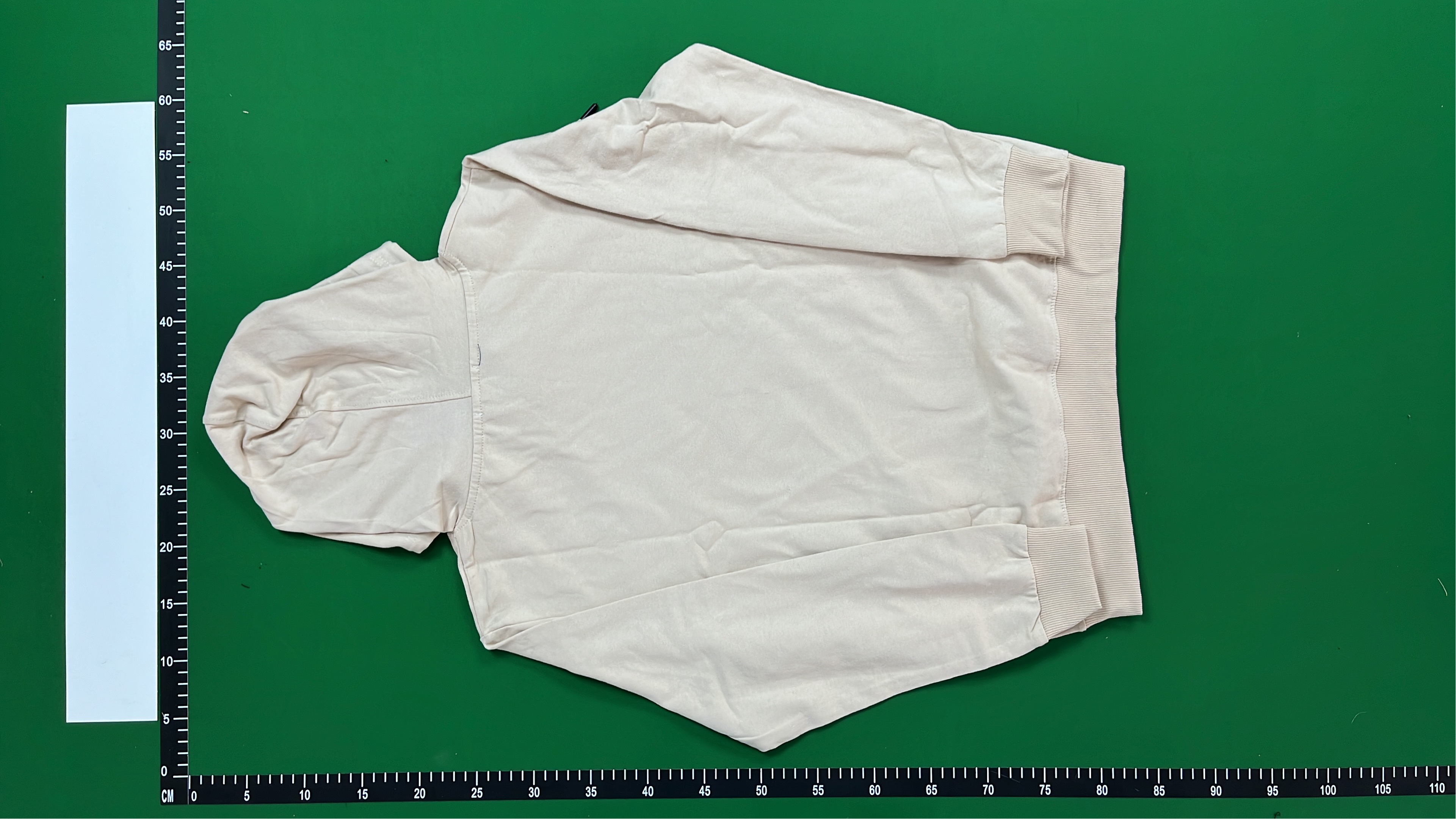 The North Face x Gucci Collaboration Sweatshirt - Limited Edition