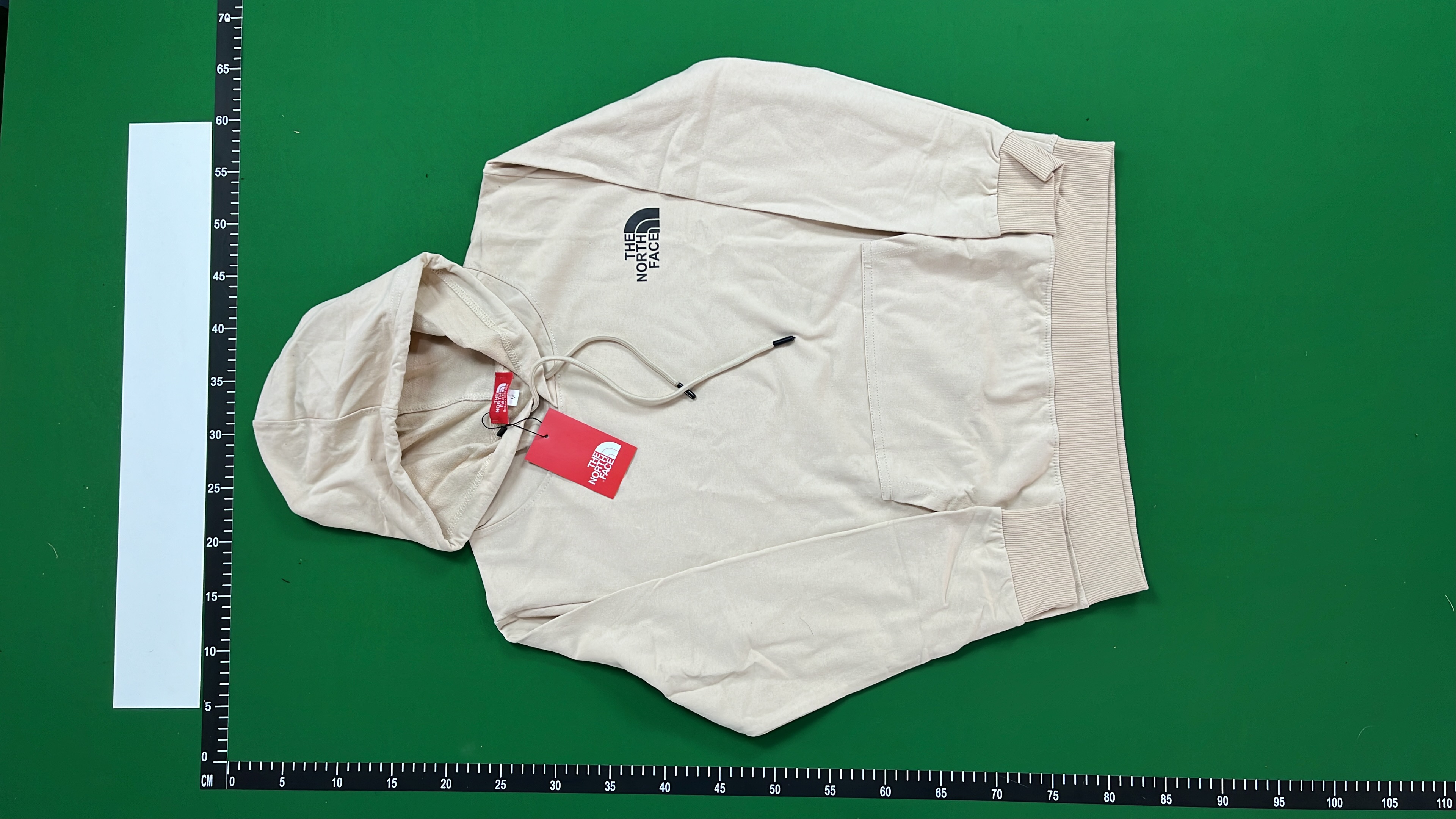 The North Face x Gucci Collaboration Sweatshirt - Limited Edition