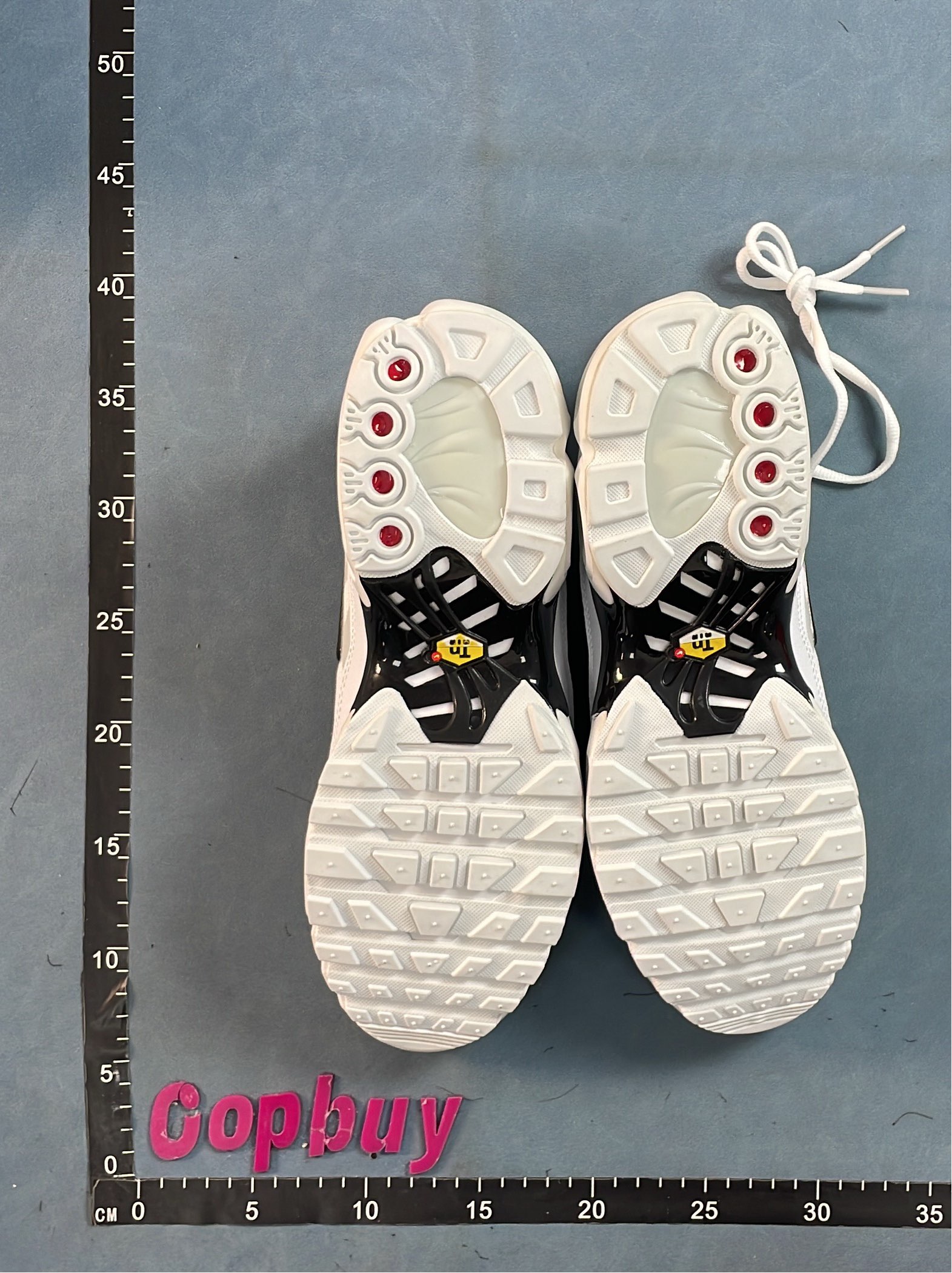 Nike Air Max Plus TN Sneakers for Men and Women