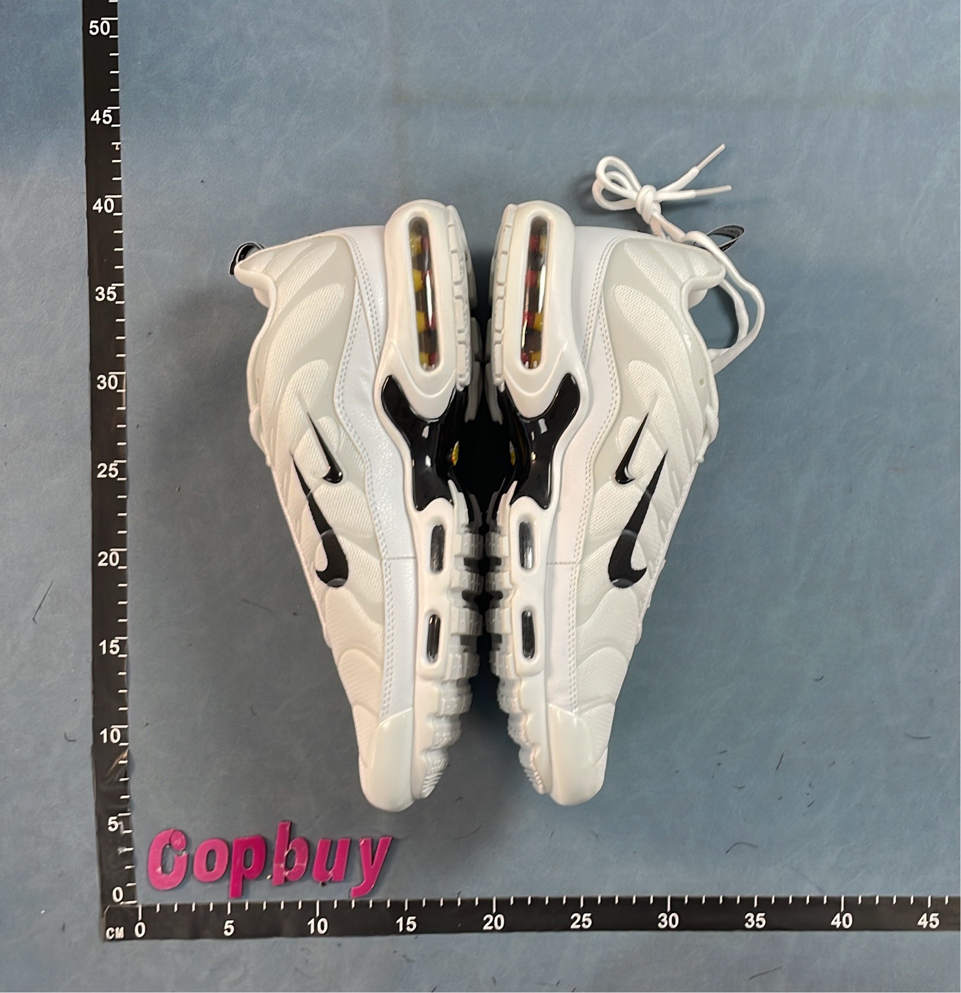 Nike Air Max Plus TN Sneakers for Men and Women
