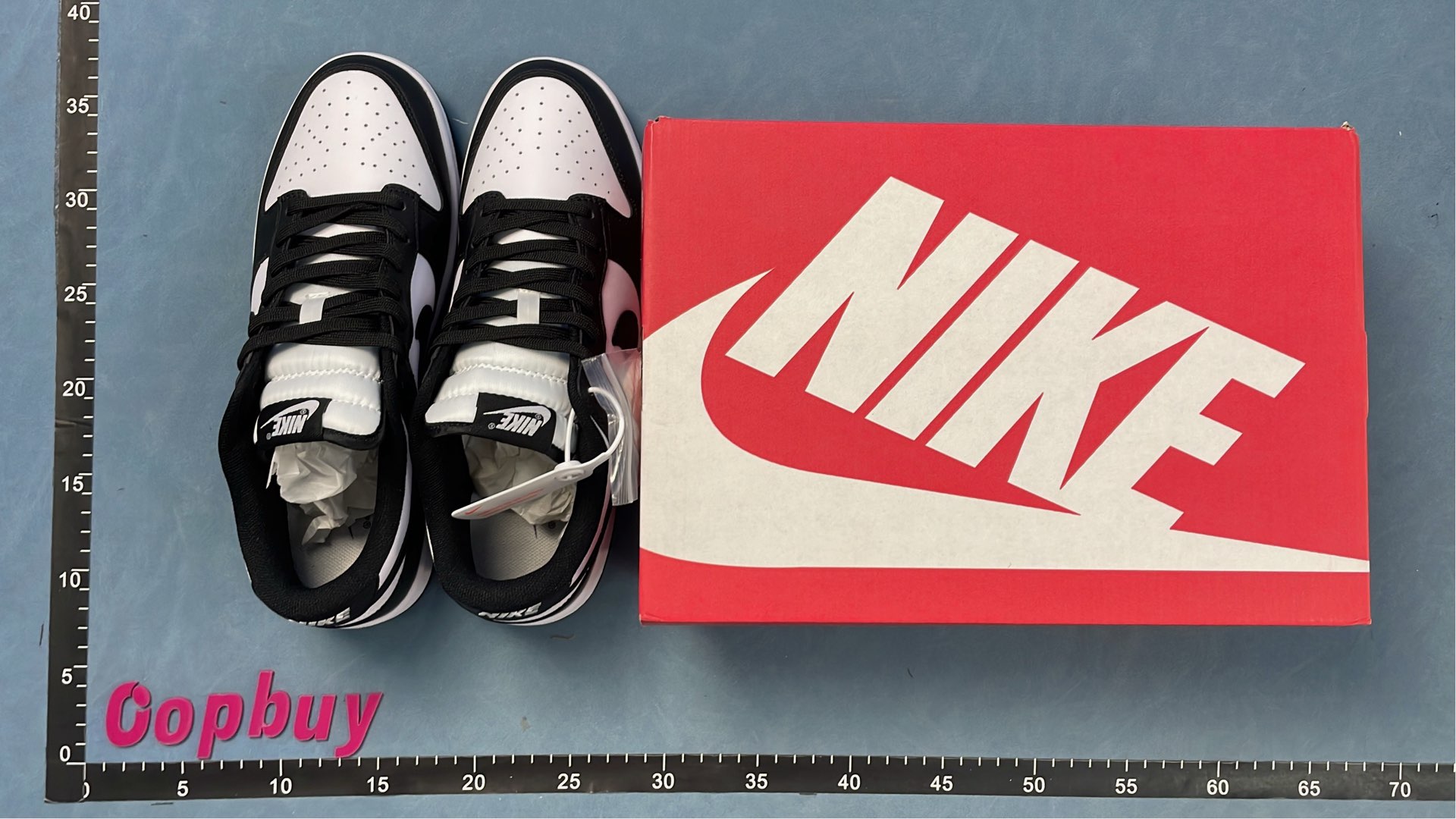 Nike Dunk Low Sneakers - Classic Colorways for Men and Women
