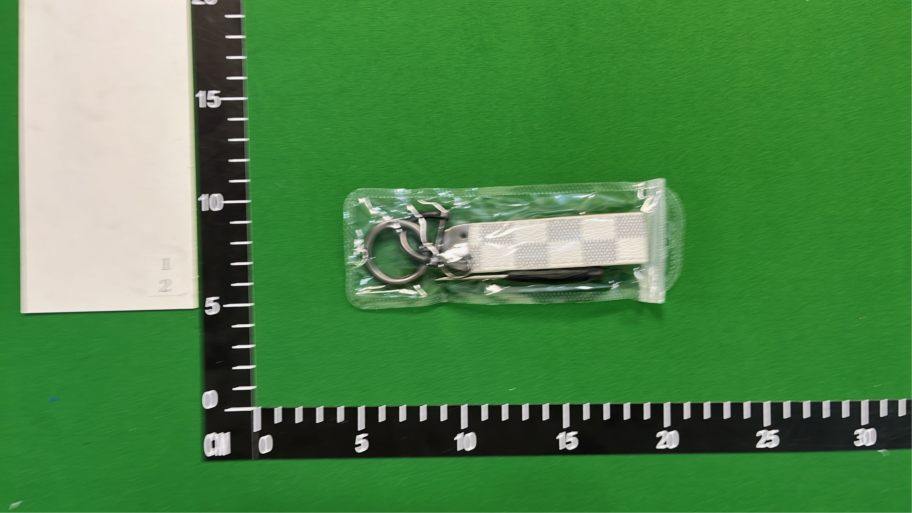 LV Keychain with Bear Charm and Monogram Strap