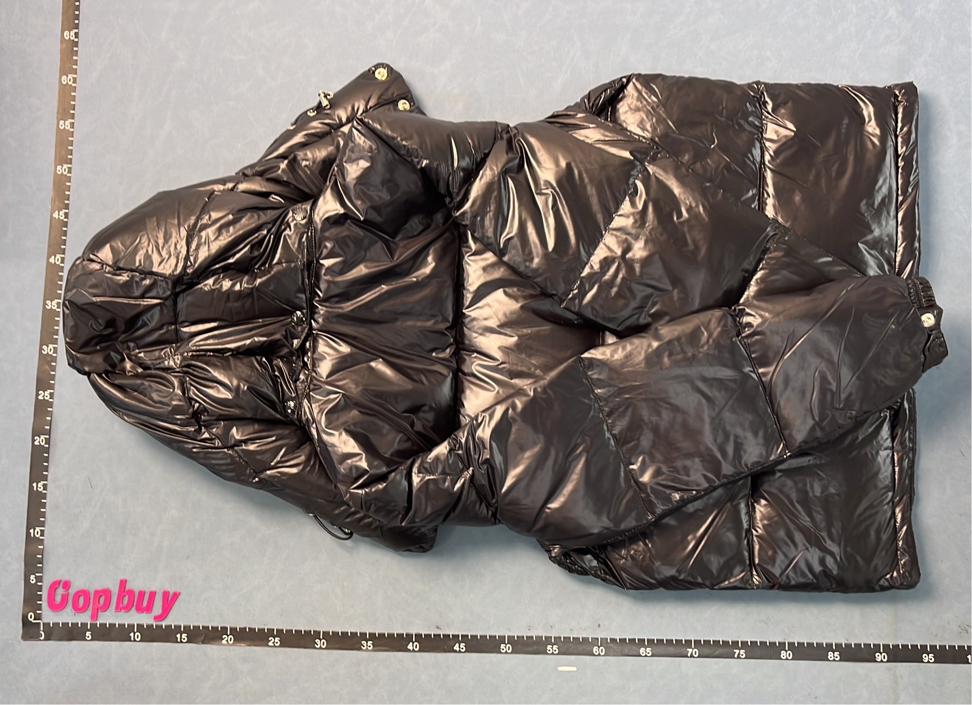 Moncler Black Puffer Jacket with Hood