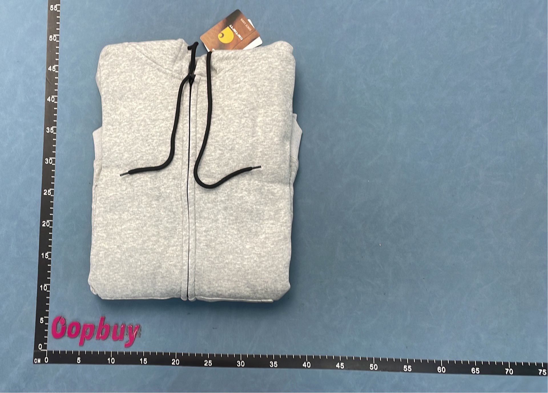 Carhartt Hoodie Sweatshirt - Classic Logo Pullover in Multiple Colors