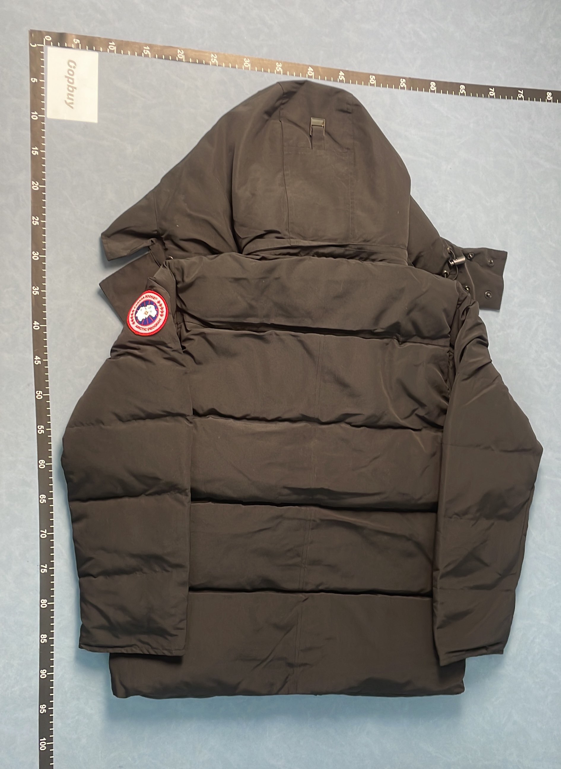 Canada Goose Expedition Parka with Fur Trim Hood