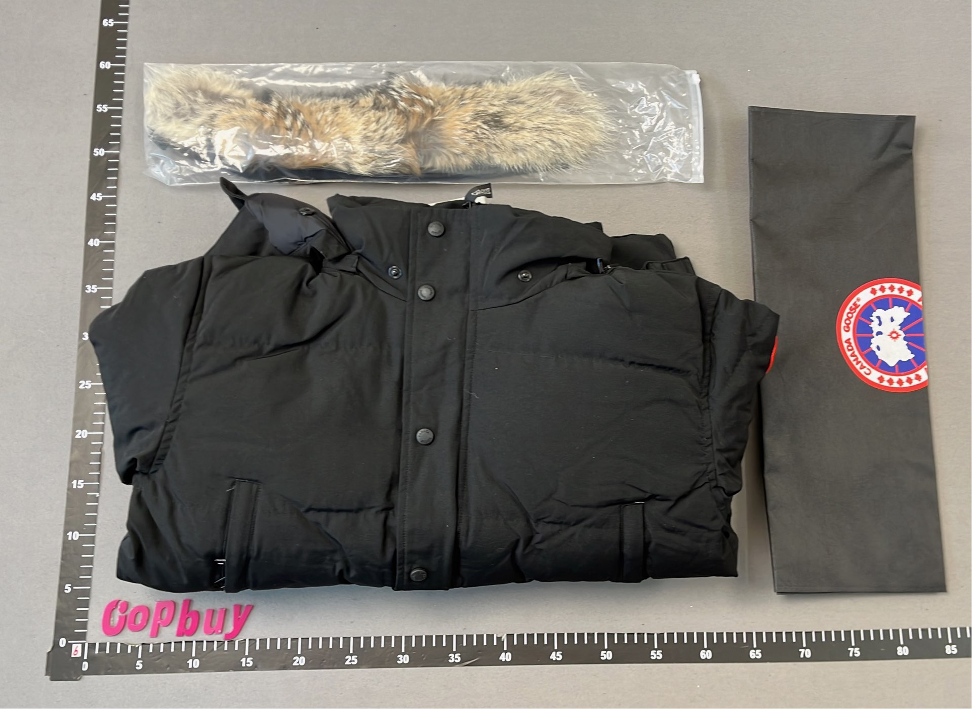 Canada Goose Down Jacket with Fur Trim Hood