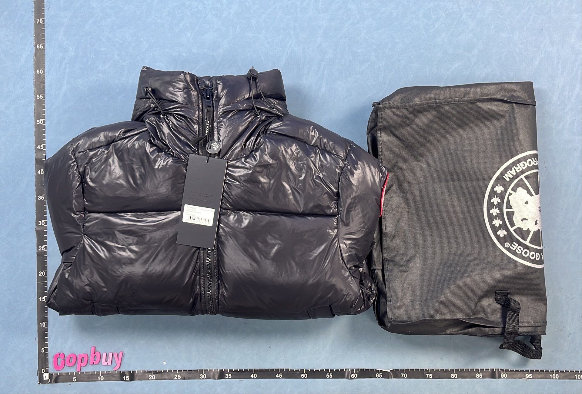 Canada Goose Black Down Jacket with Hood and Logo Patch