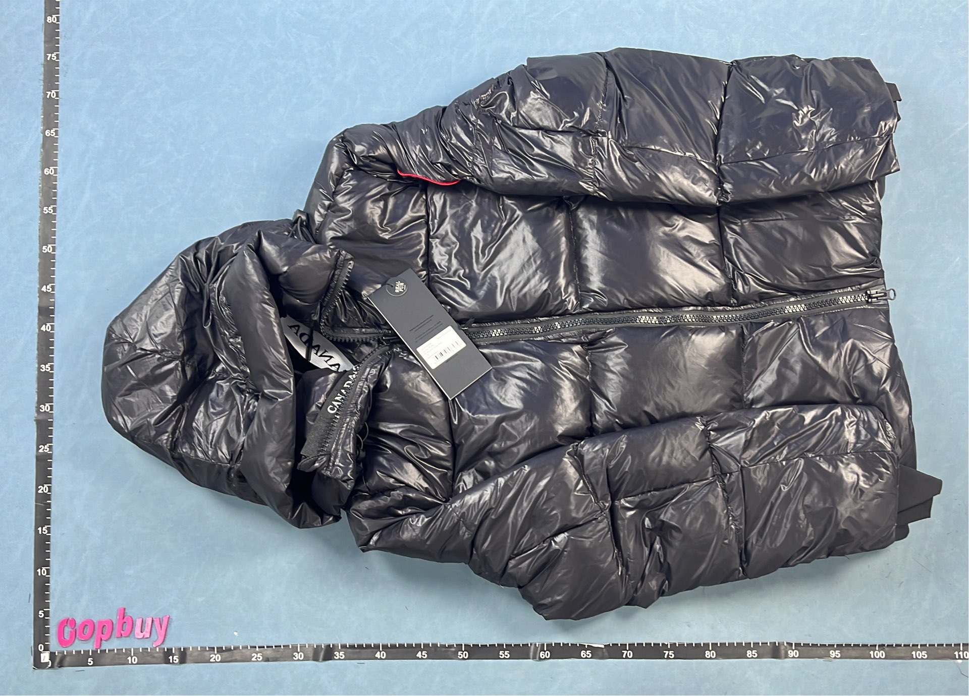 Canada Goose Black Down Jacket with Hood and Logo Patch