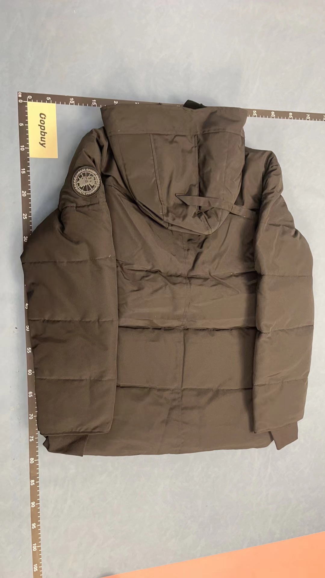 Canada Goose Gray Parka Jacket with Hood and Logo Patch