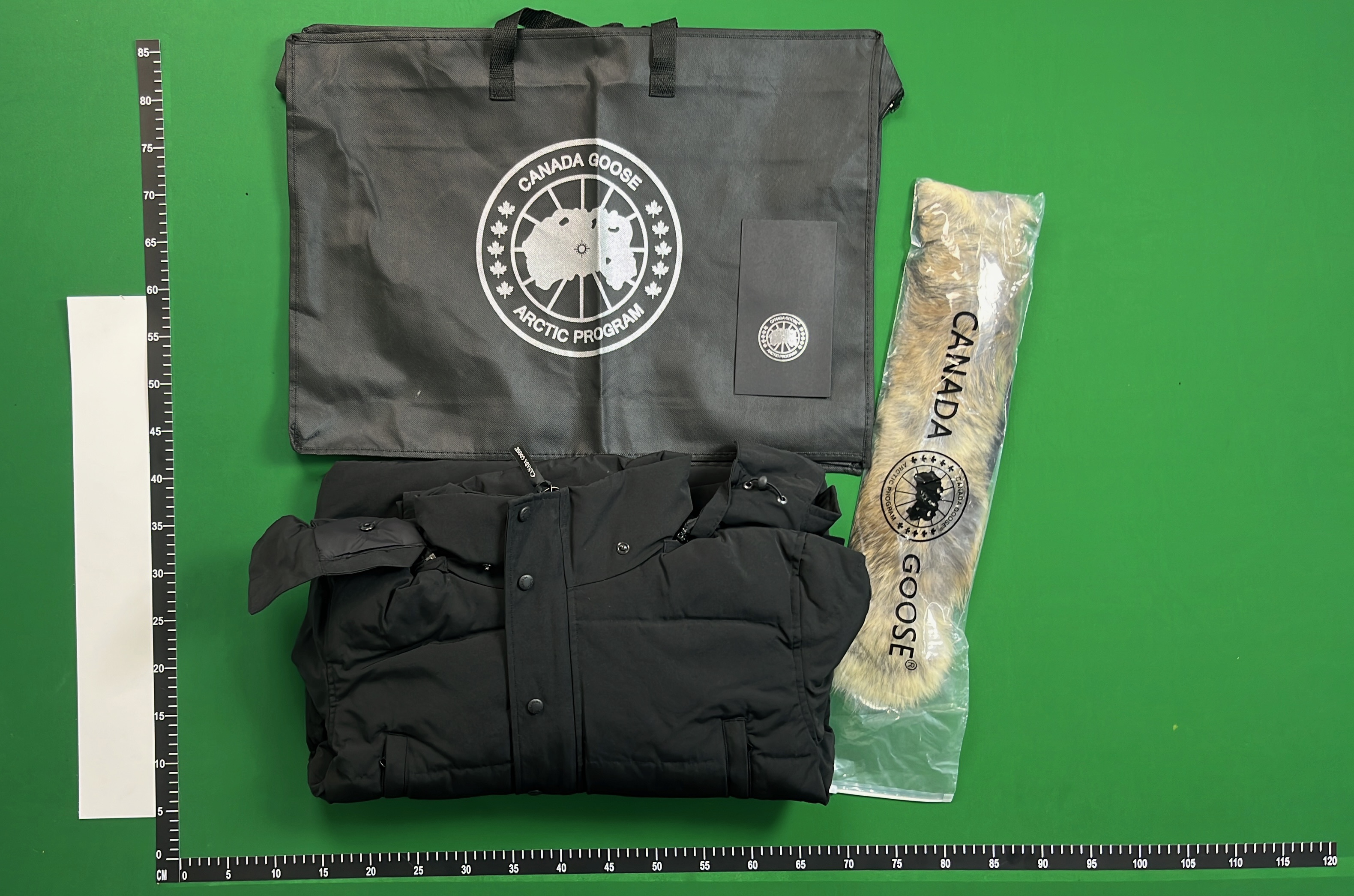 Canada Goose Down Jacket with Fur Trim Hood