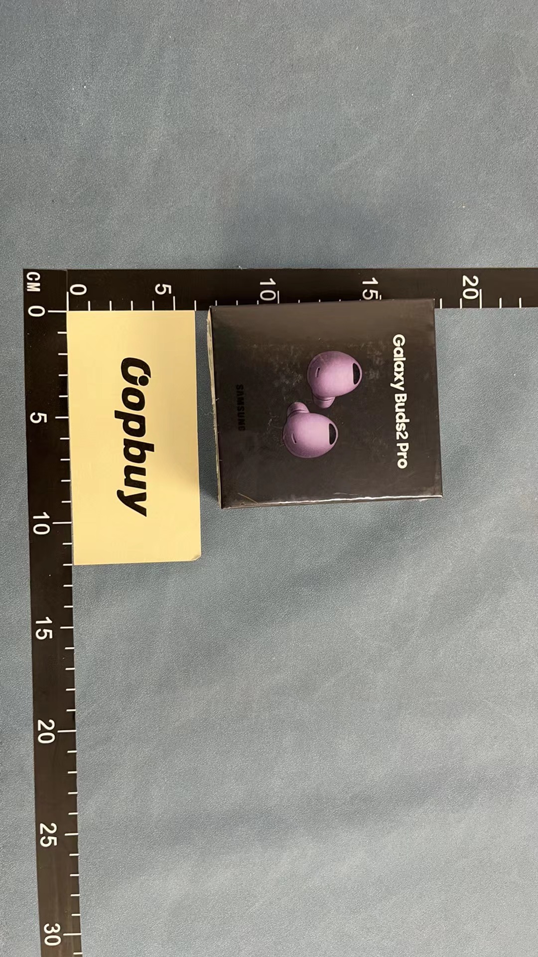 Panda Wireless Earbuds with Charging Case and Ear Tips