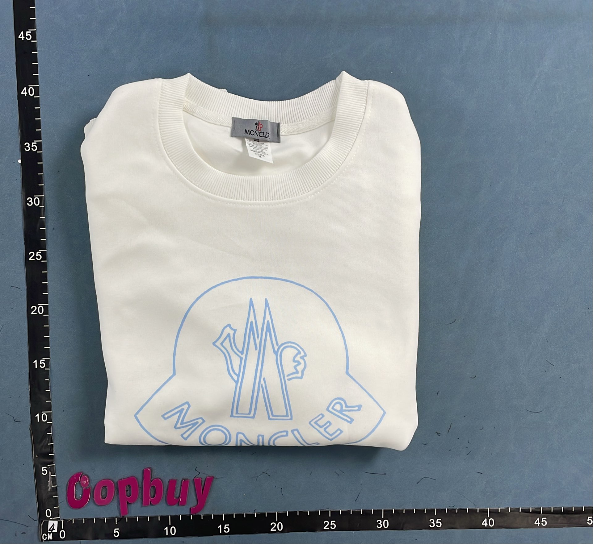 Moncler Black Sweatshirt with Logo Design