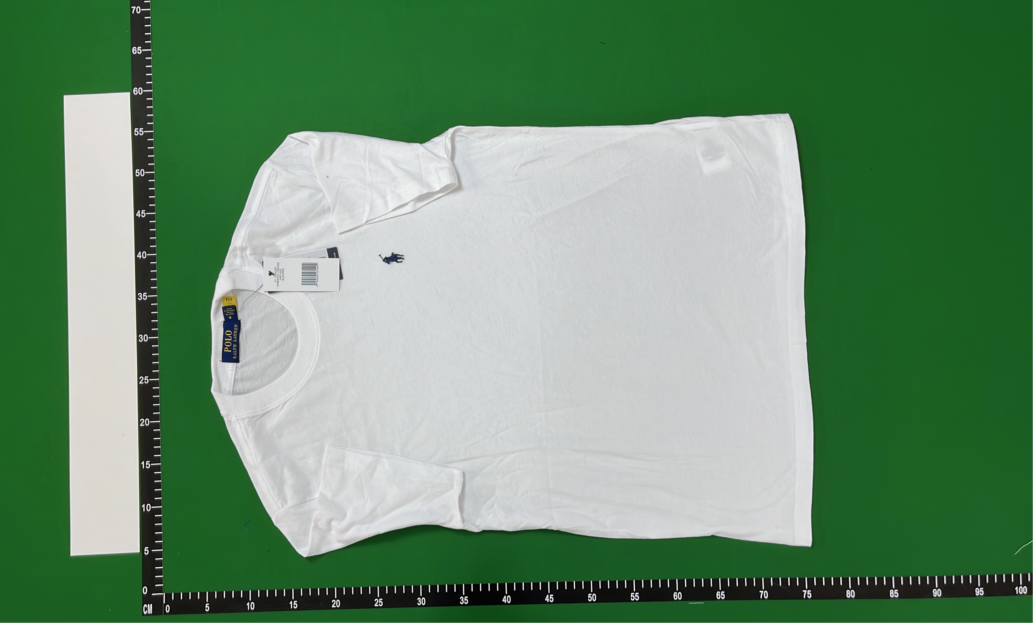 Light Blue Cotton T-Shirt for Men