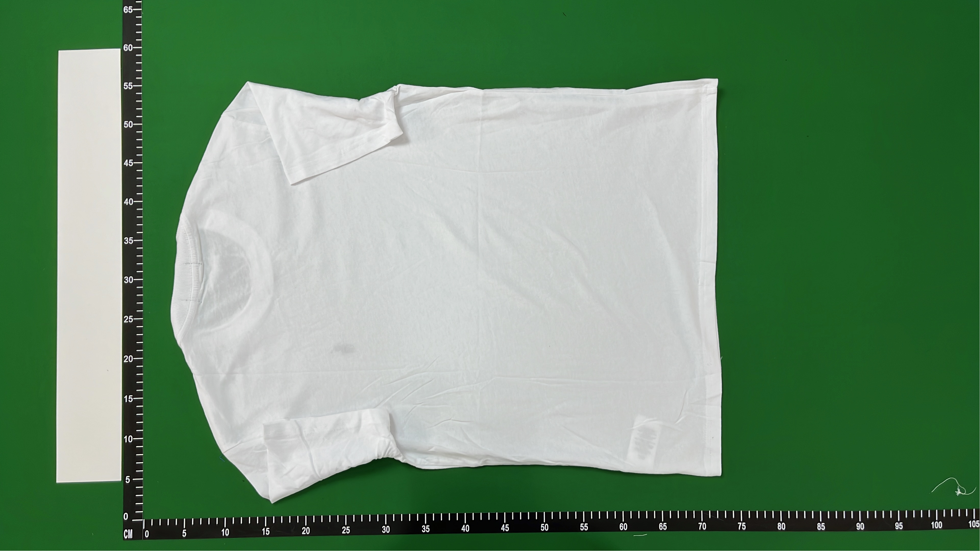 Light Blue Cotton T-Shirt for Men