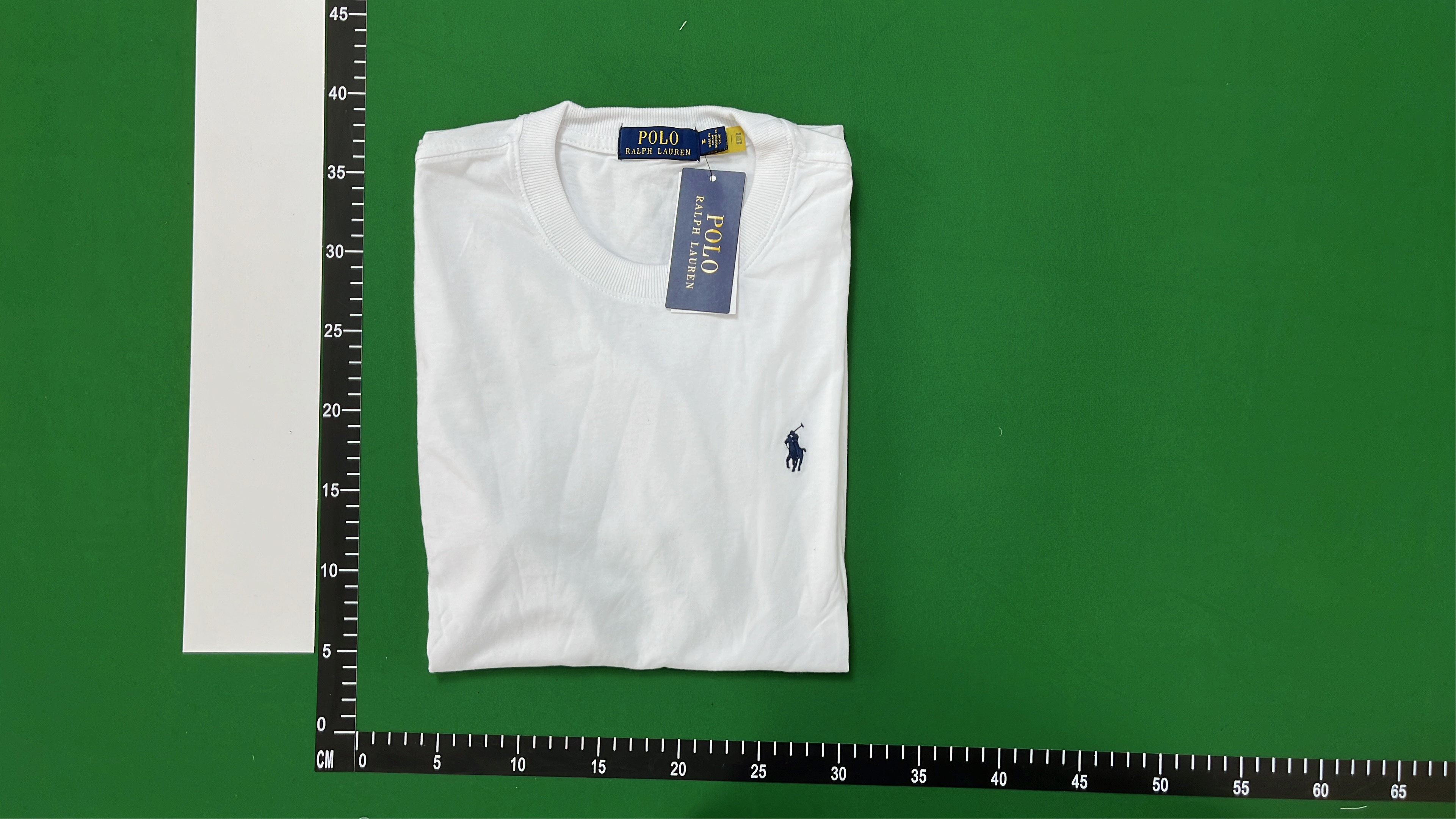 Light Blue Cotton T-Shirt for Men