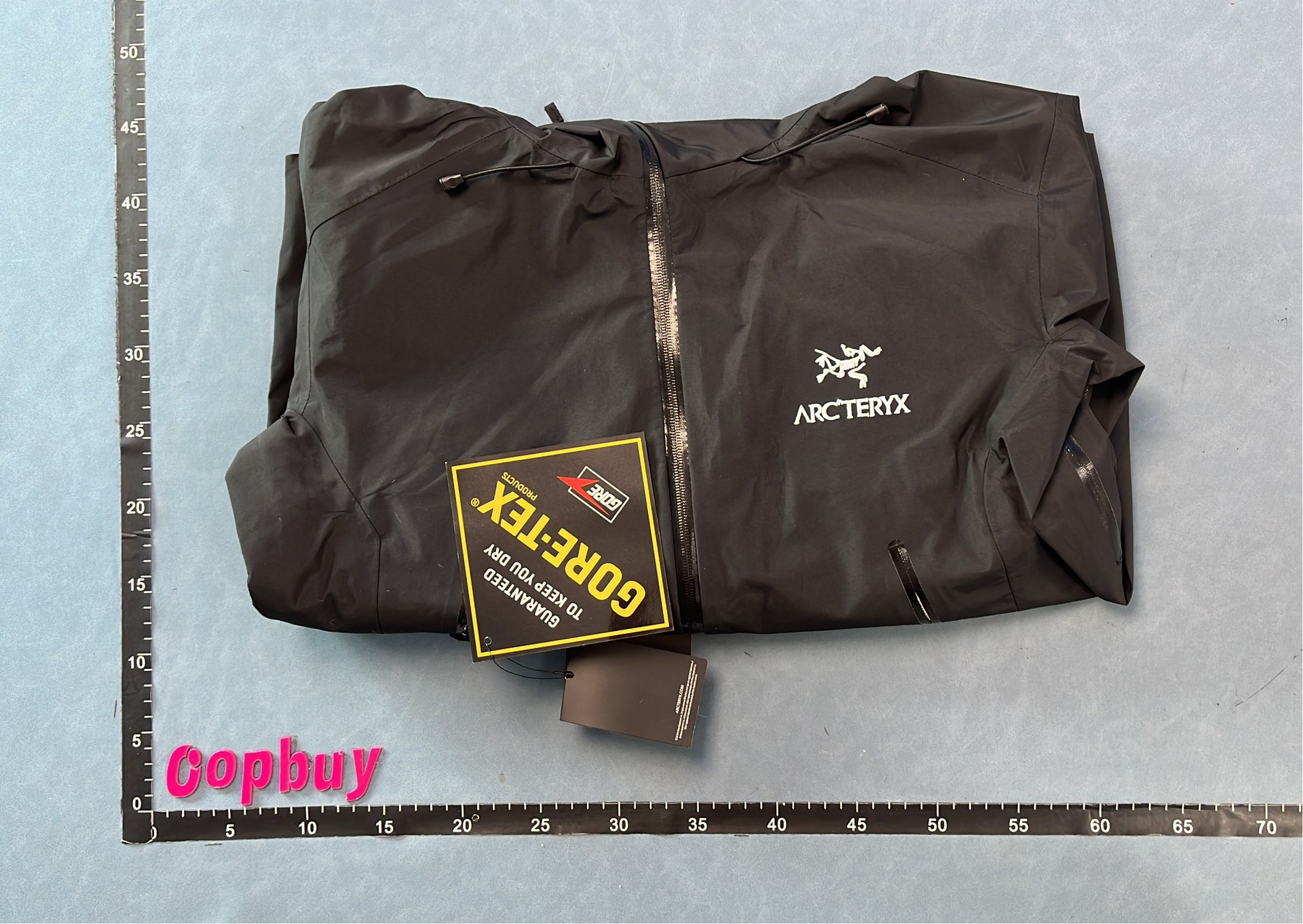 Arc'teryx Men's Black Hooded Jacket