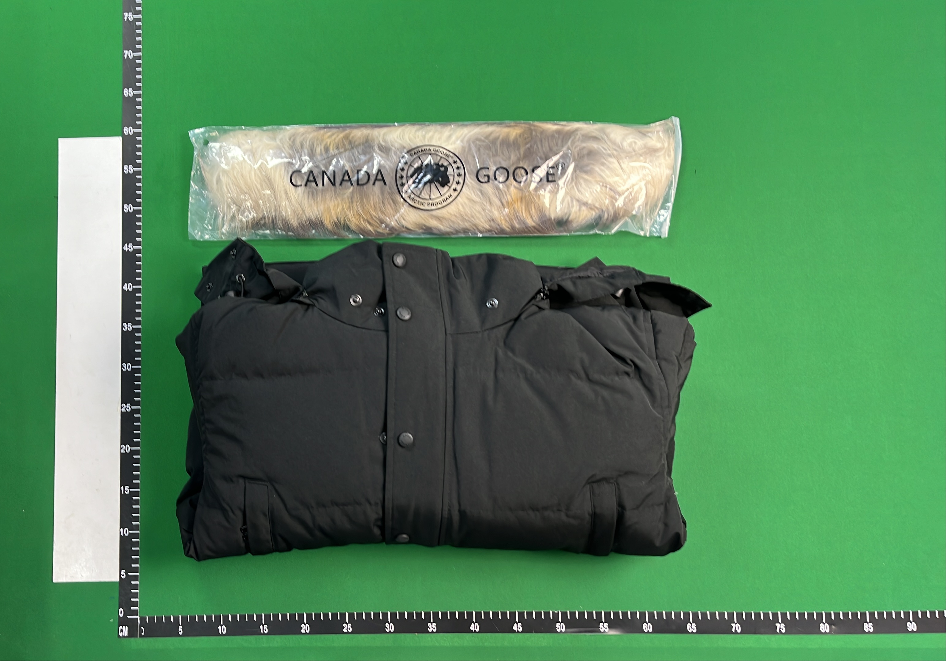 Canada Goose Down Jacket with Fur Hood - Premium Winter Coat