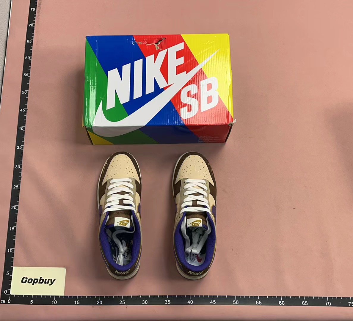 Nike SB Dunk Low Pro Skate Shoes