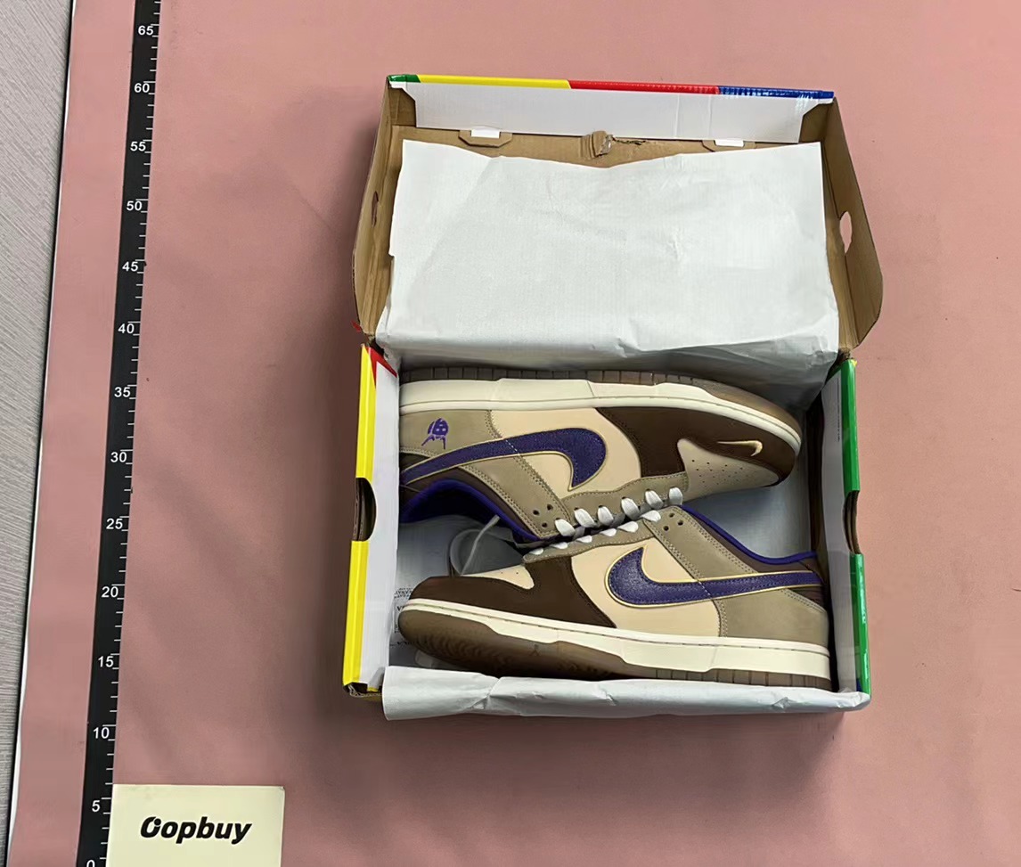 Nike SB Dunk Low Pro Skate Shoes