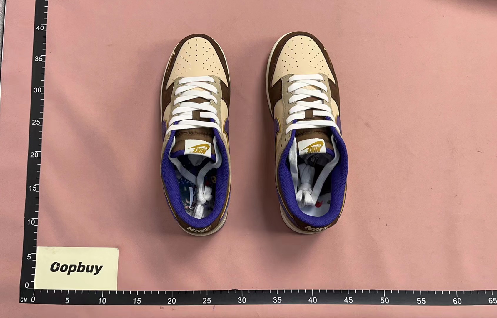 Nike SB Dunk Low Pro Skate Shoes
