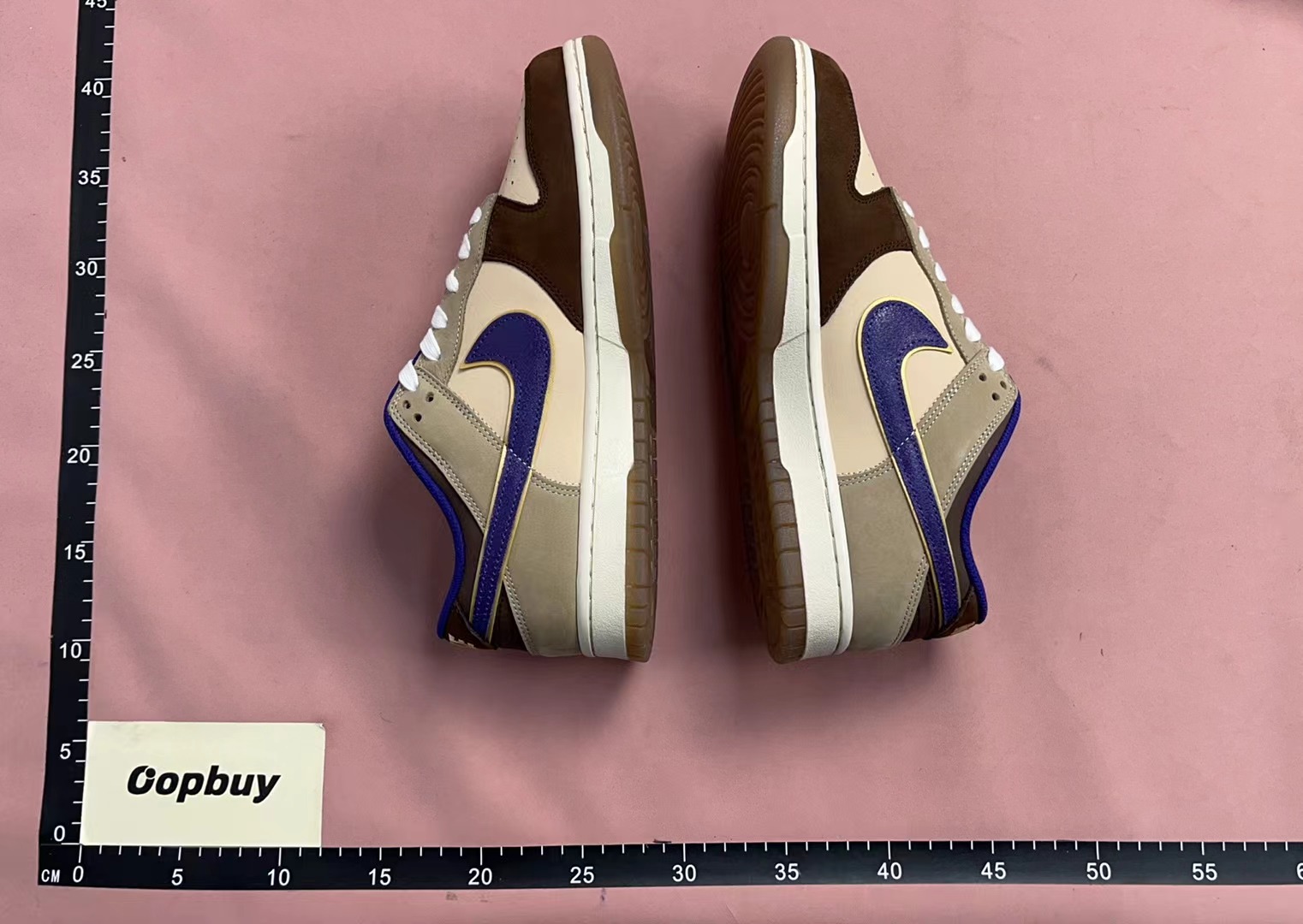 Nike SB Dunk Low Pro Skate Shoes