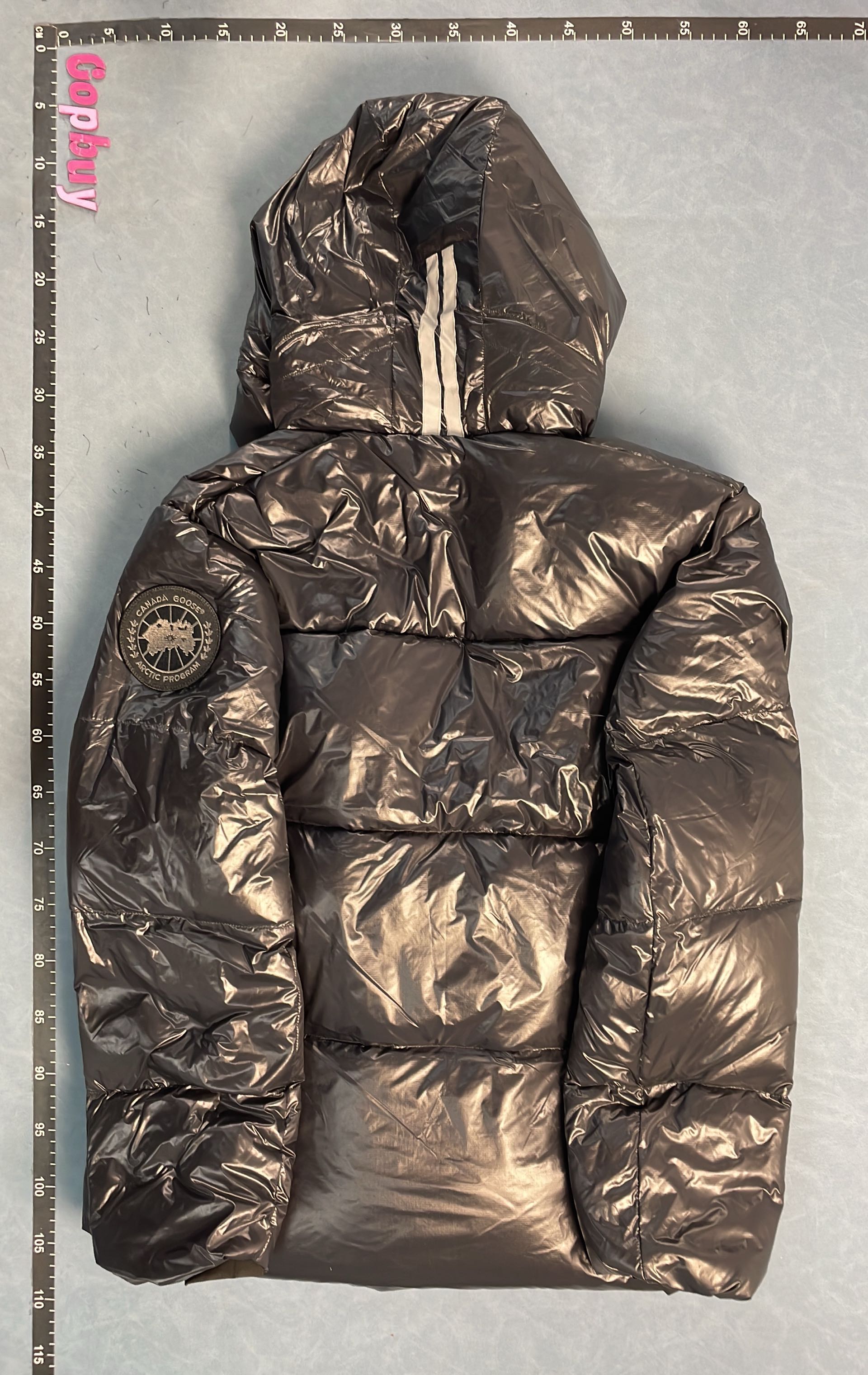 Canada Goose Black Down Jacket with Hood and Arctic Program Logo