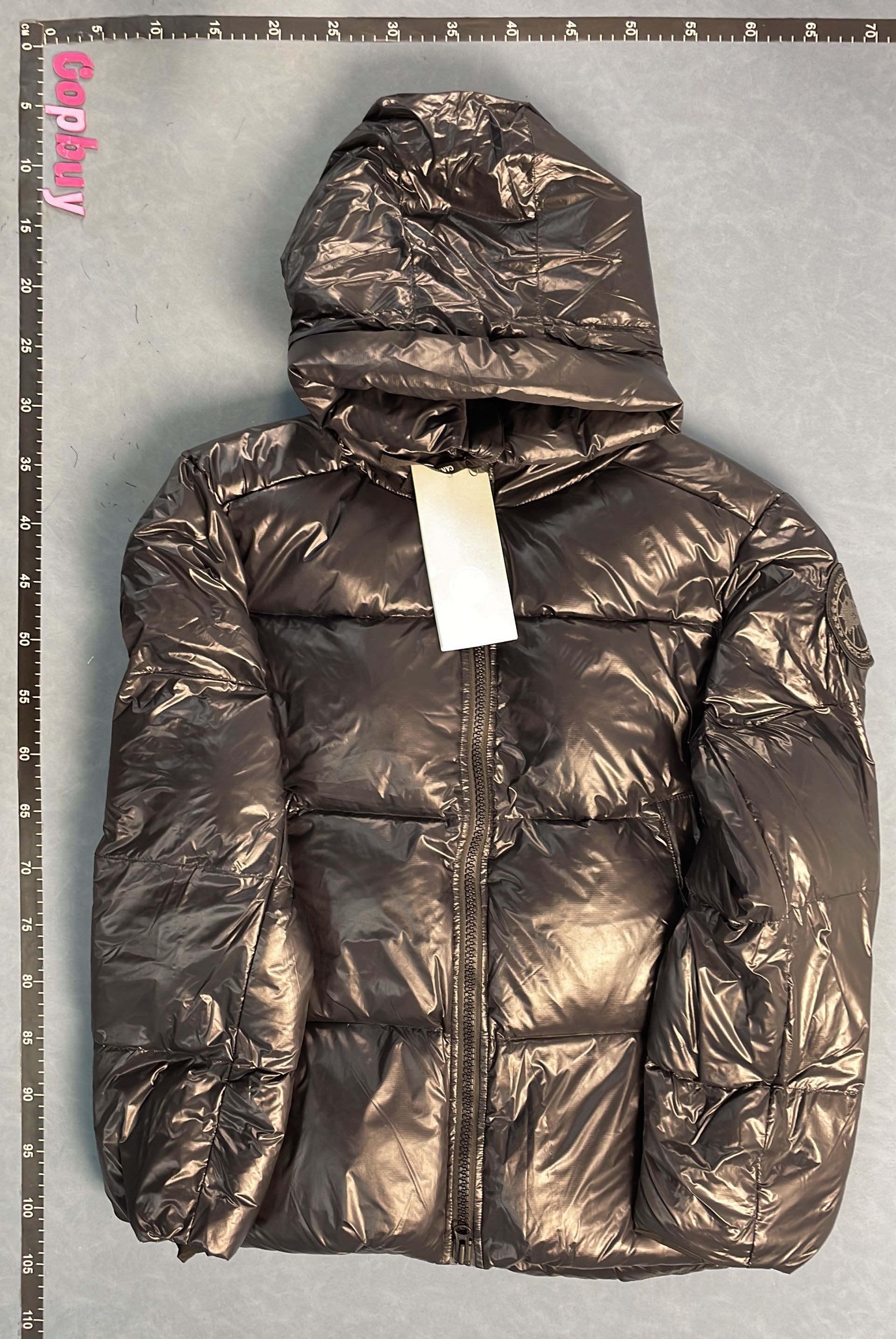 Canada Goose Black Down Jacket with Hood and Arctic Program Logo