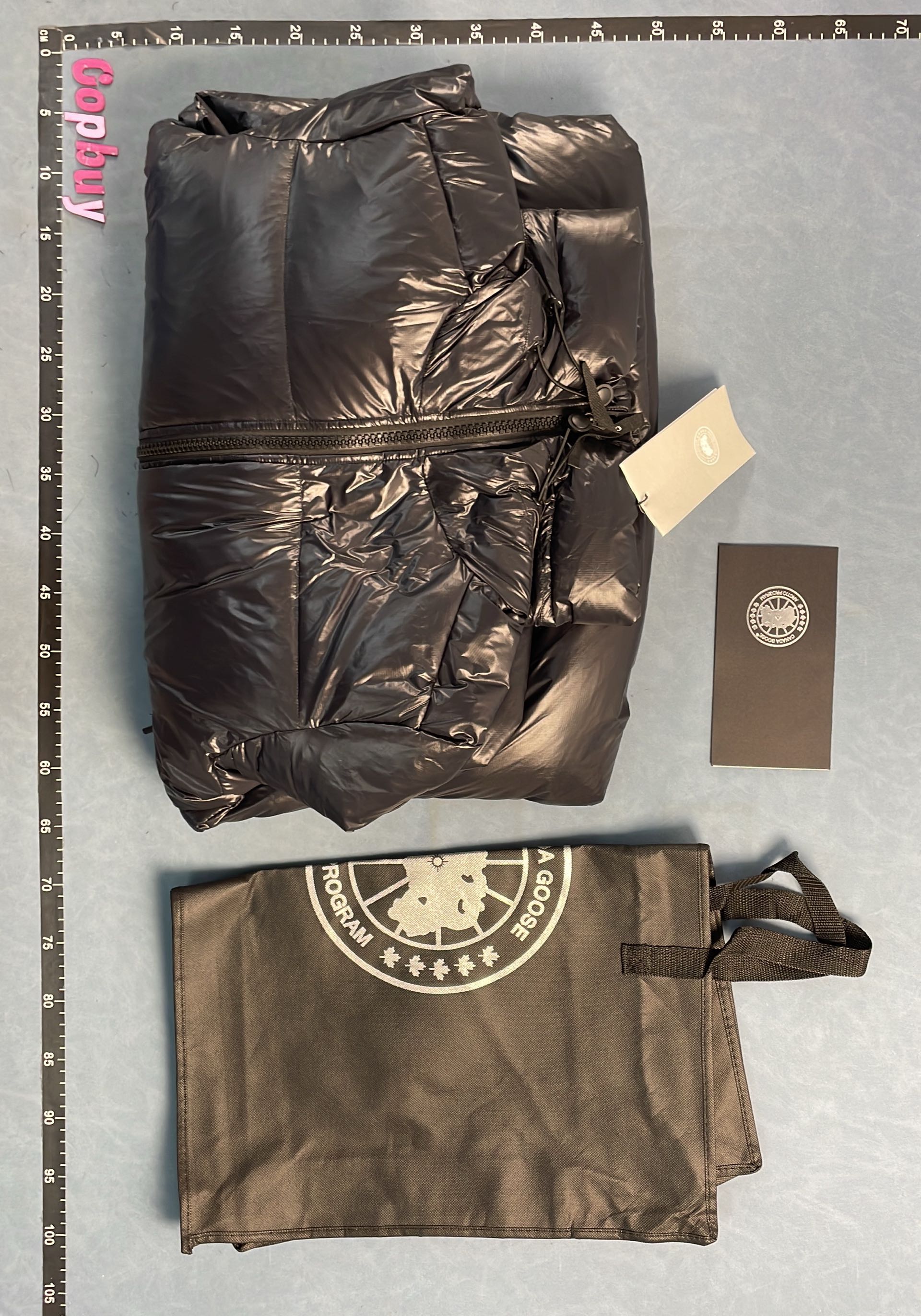Canada Goose Black Down Jacket with Hood and Arctic Program Logo