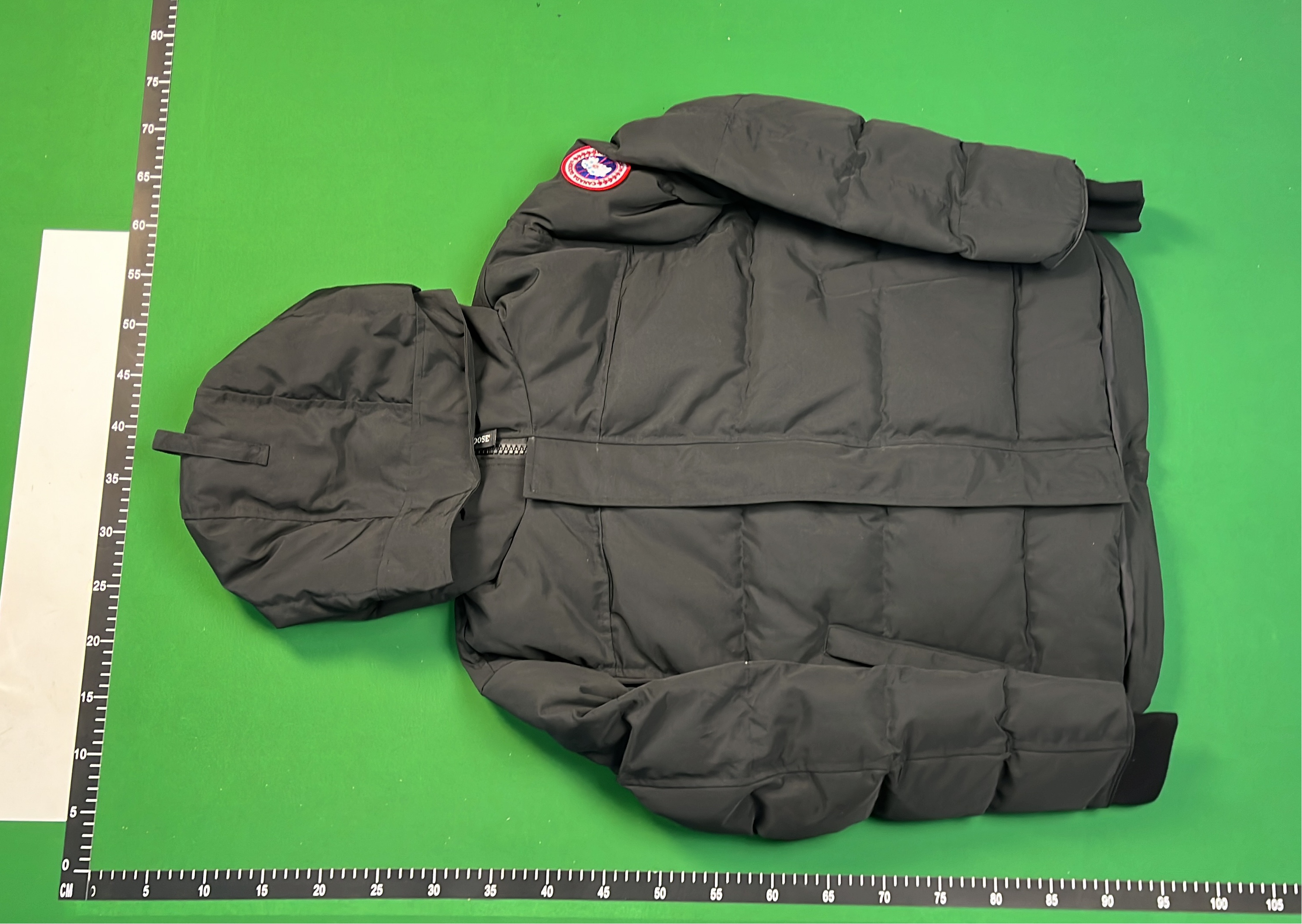 Canada Goose Down Jackets for Men and Women