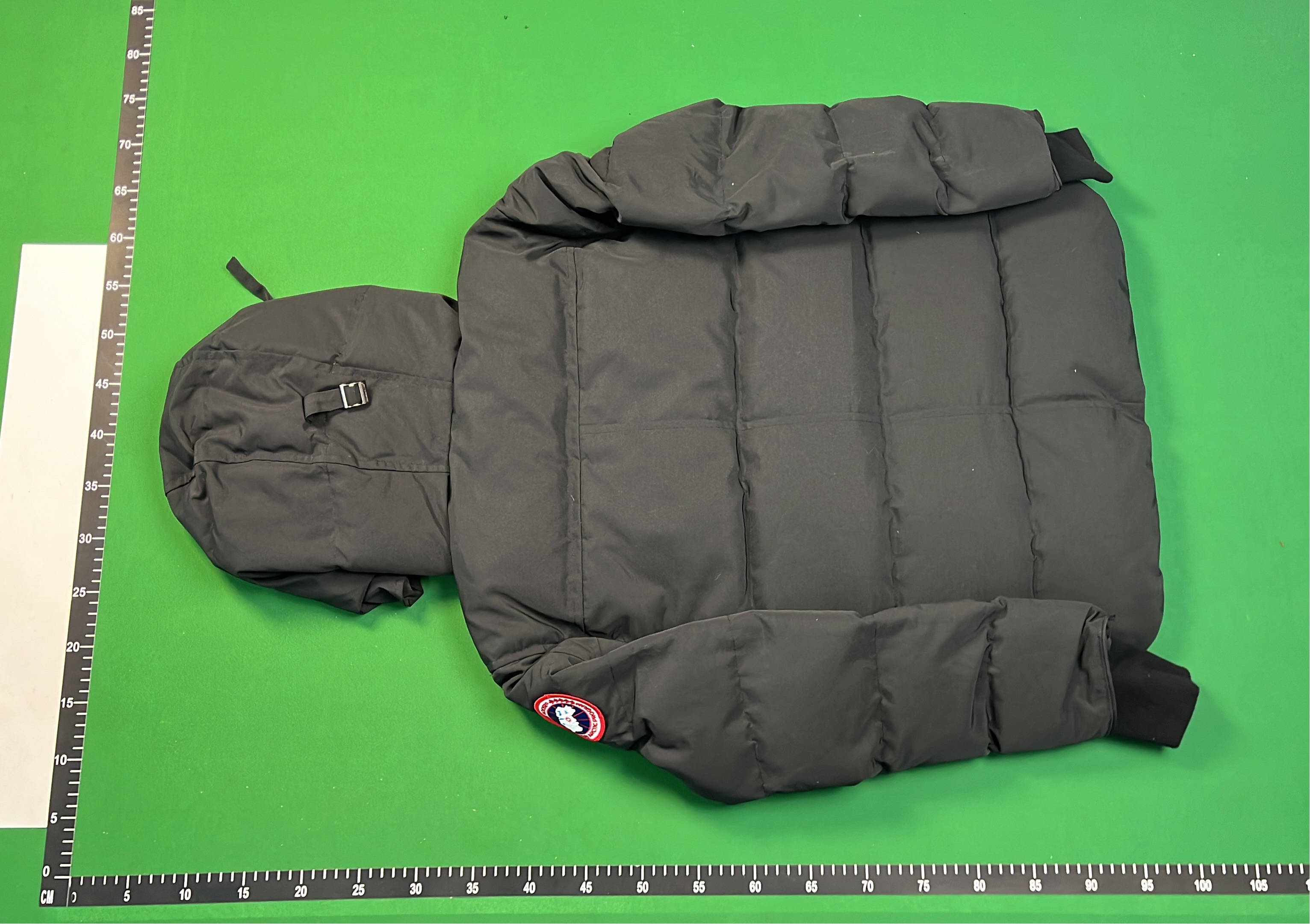 Canada Goose Down Jackets for Men and Women