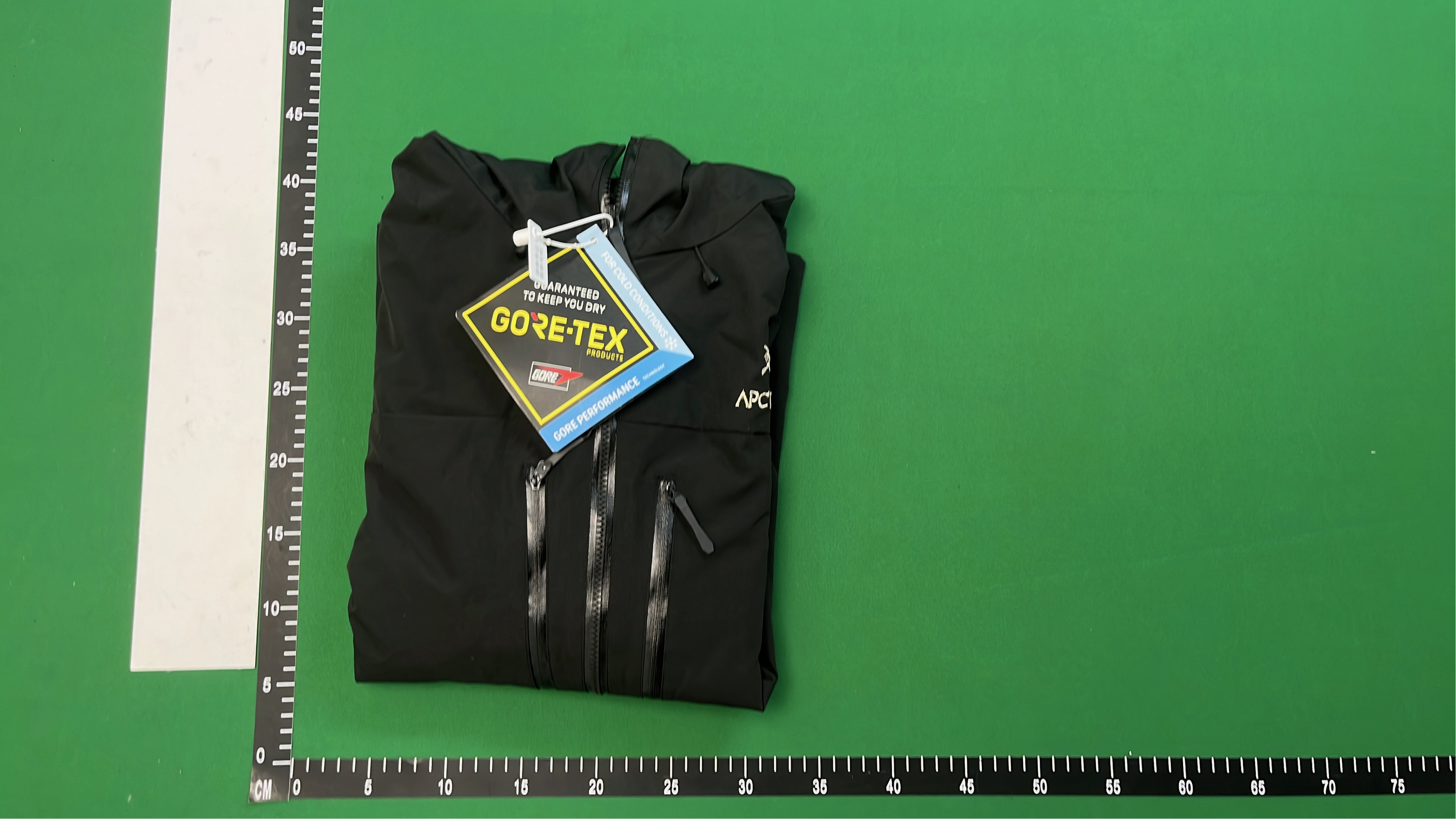 Arc'teryx GORE-TEX Jacket with Hood - Black