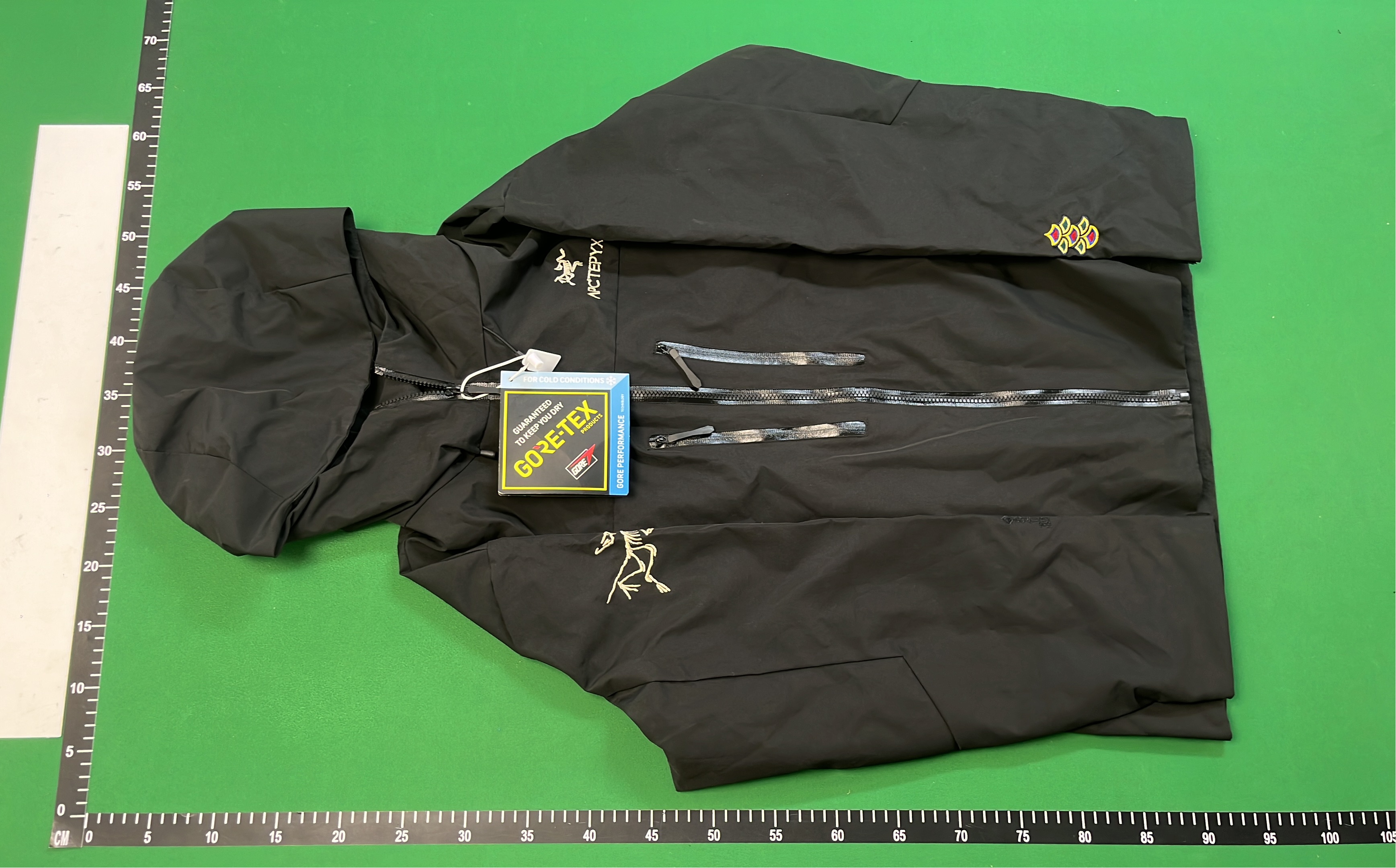 Arc'teryx GORE-TEX Jacket with Hood - Black