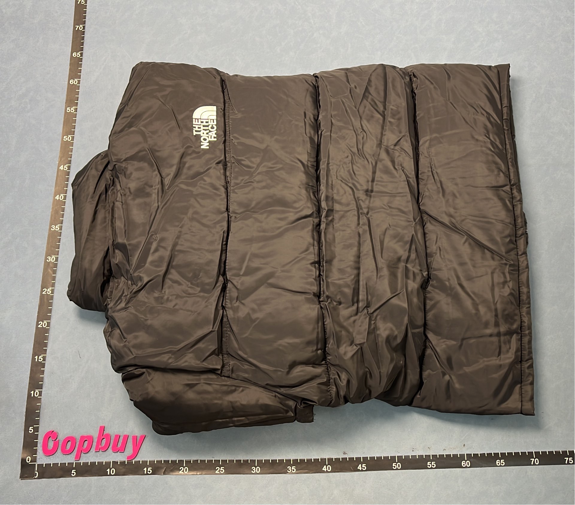 The North Face Black Puffer Jacket for Men