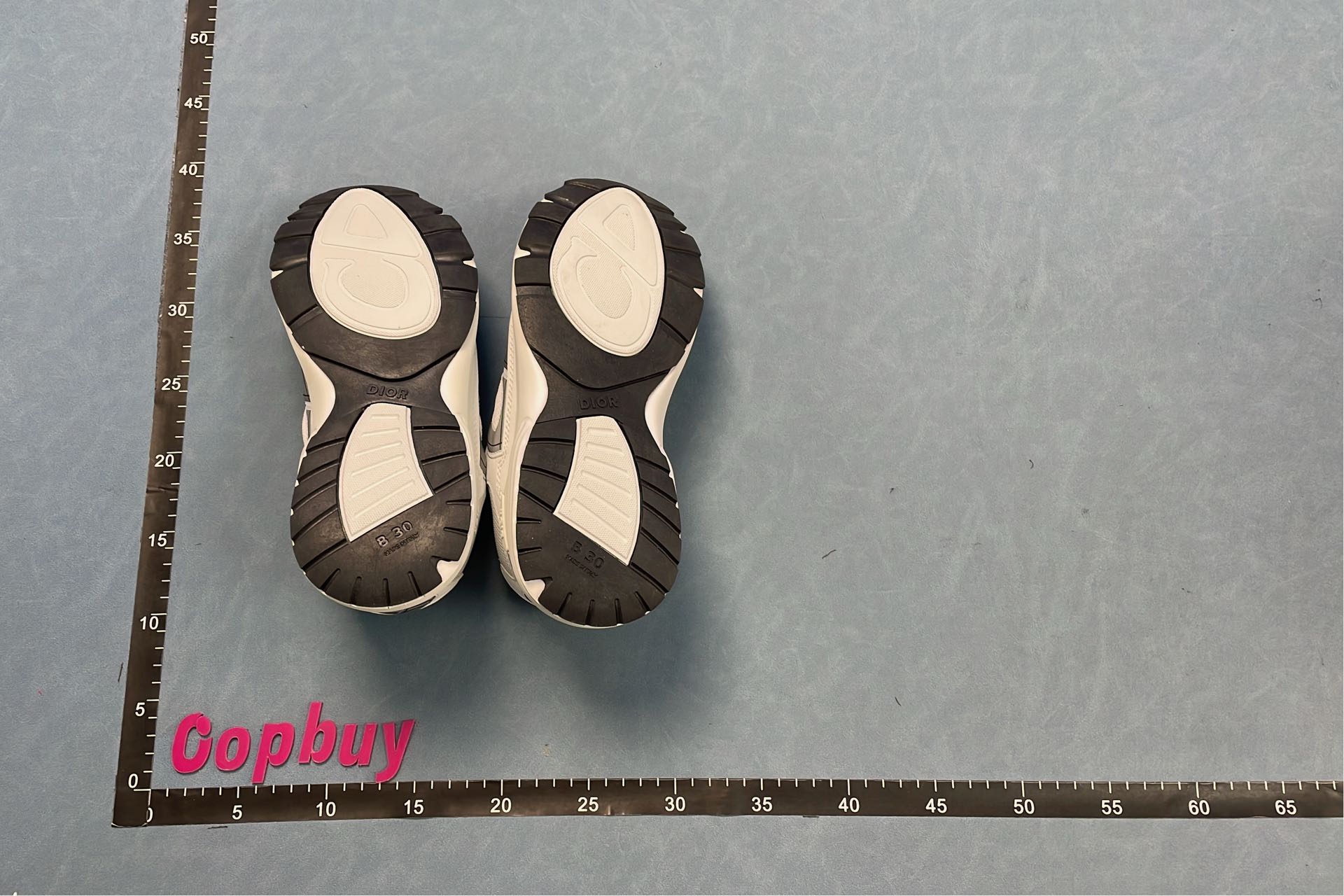 Dior Black Sneakers with White Logo Design