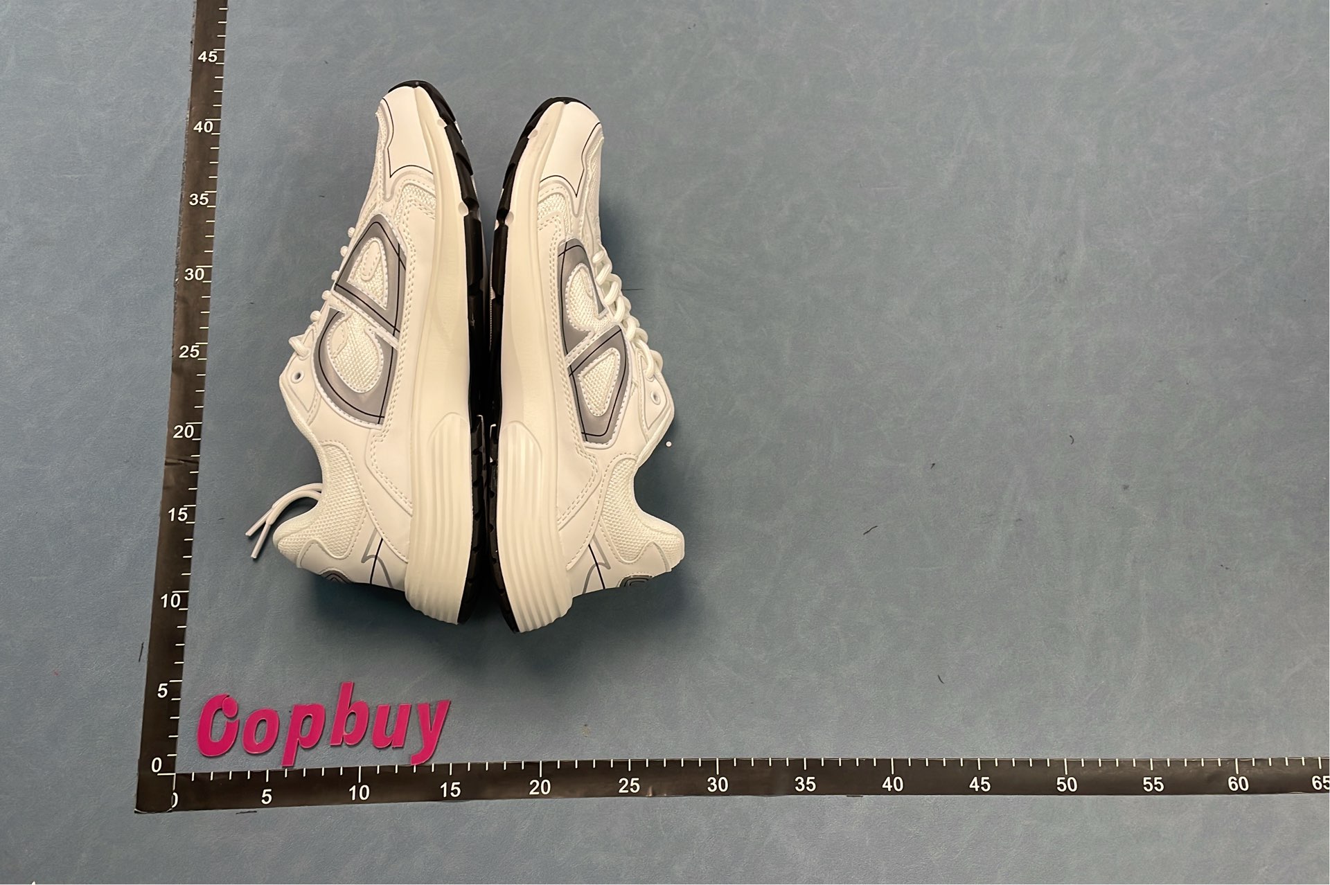 Dior Black Sneakers with White Logo Design