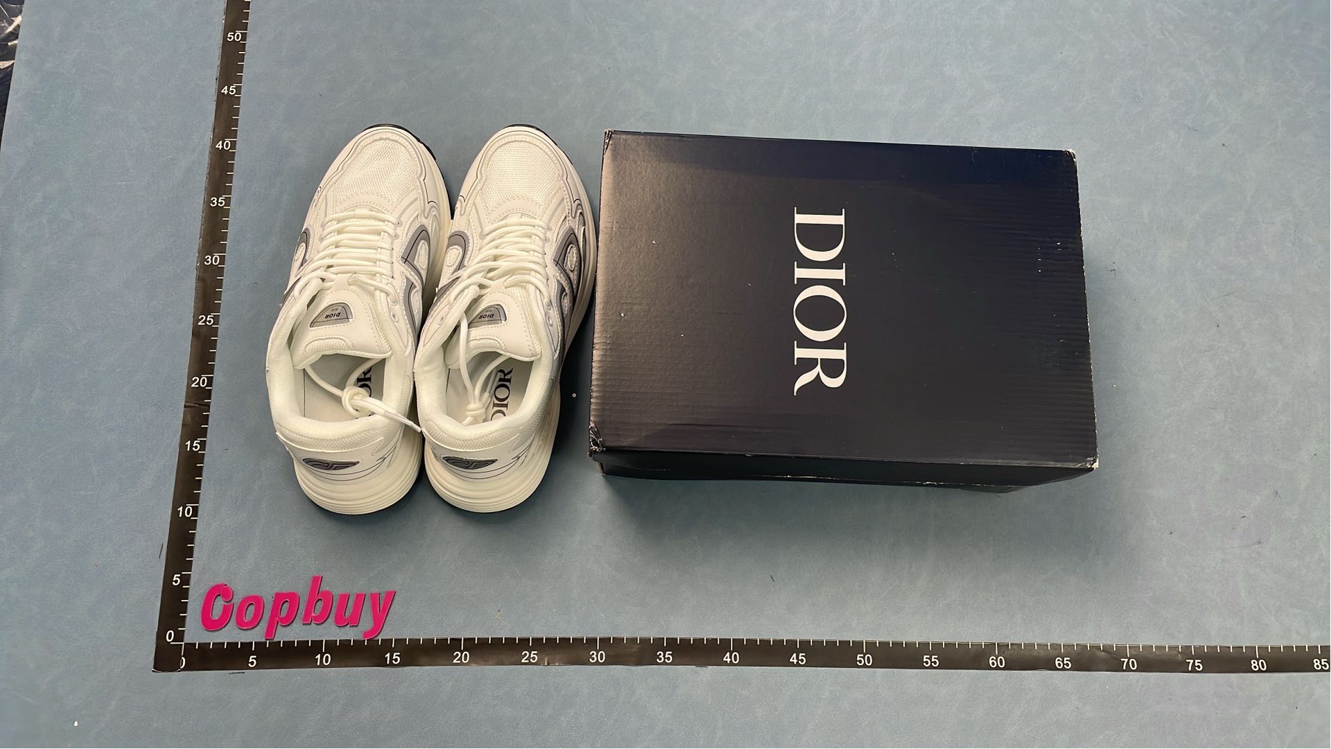 Dior Black Sneakers with White Logo Design