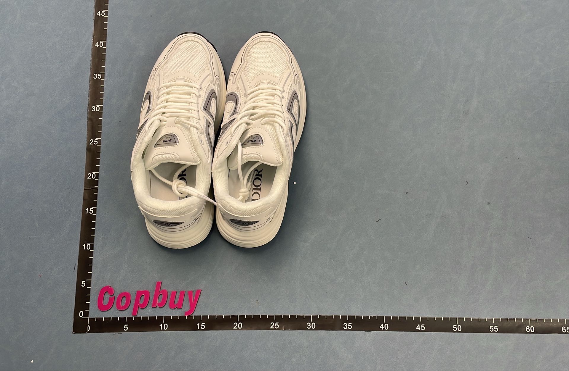 Dior Black Sneakers with White Logo Design