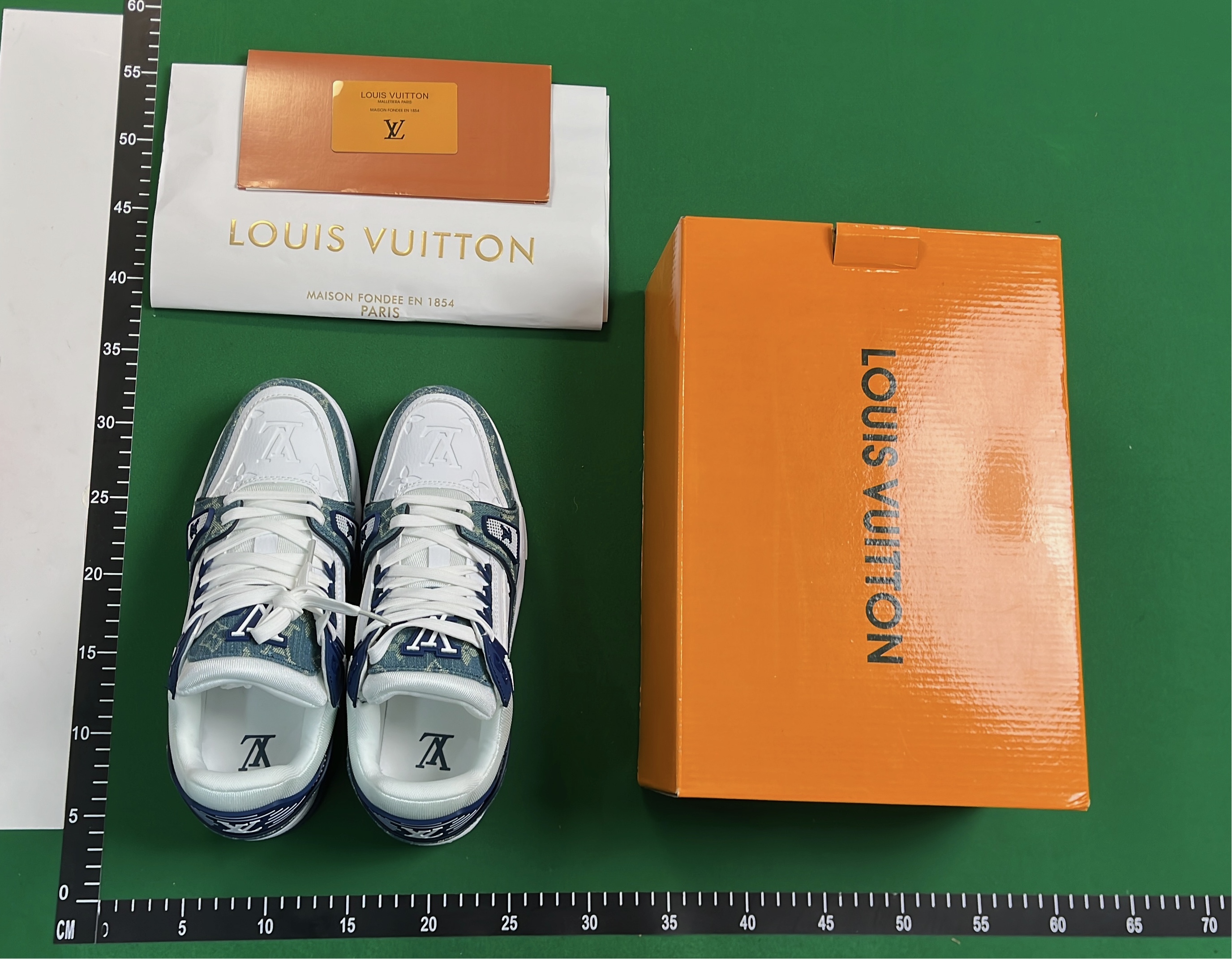 LV Trainer Sneakers Multi-Color Edition