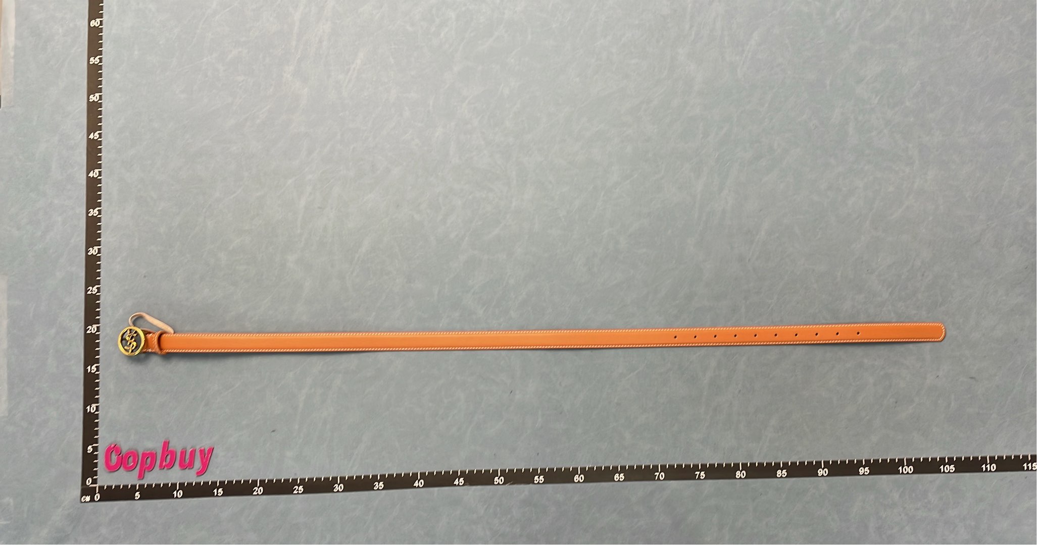 YSL Logo Buckle Leather Belt for Women