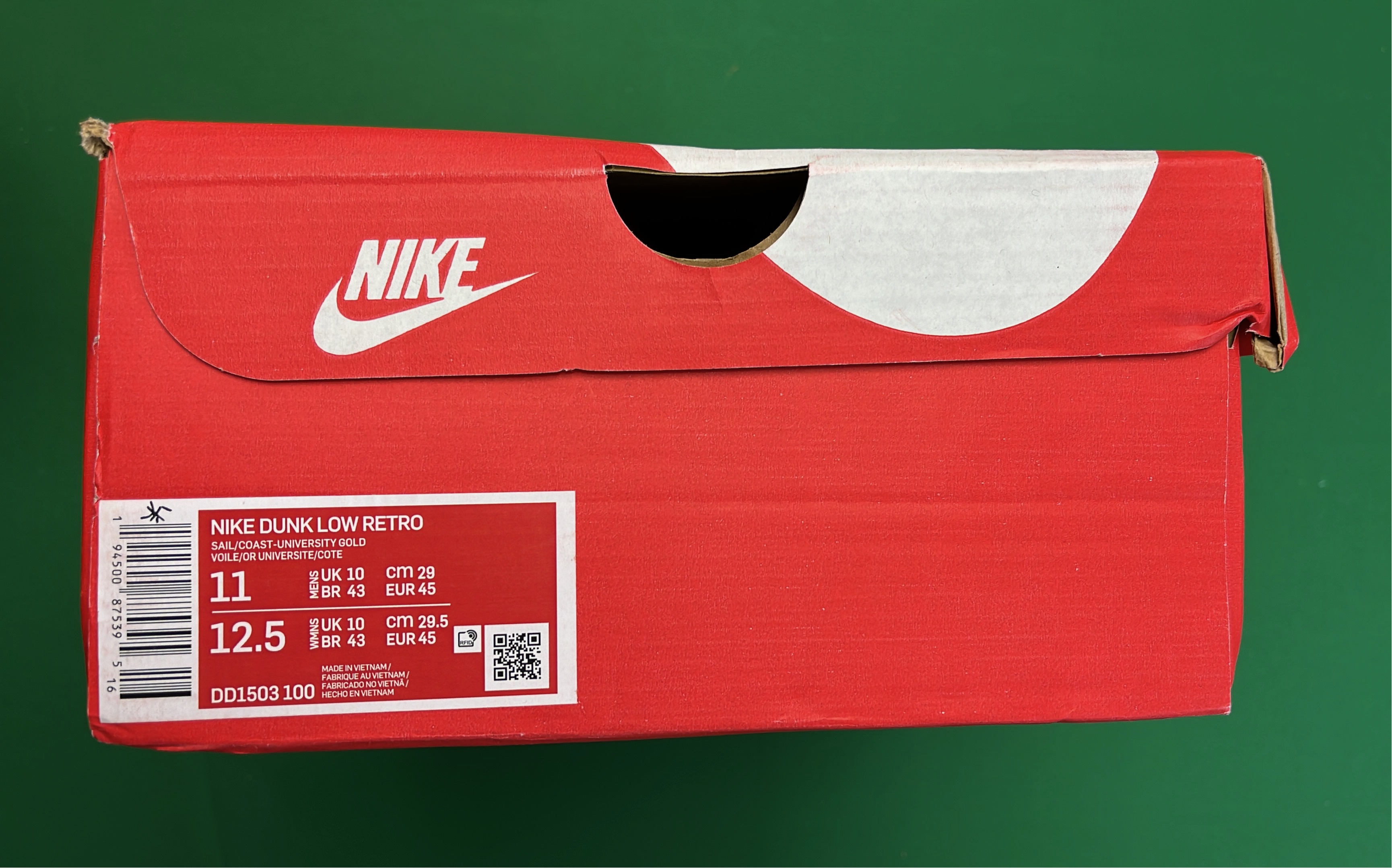 Nike Dunk Low Retro Shoes
