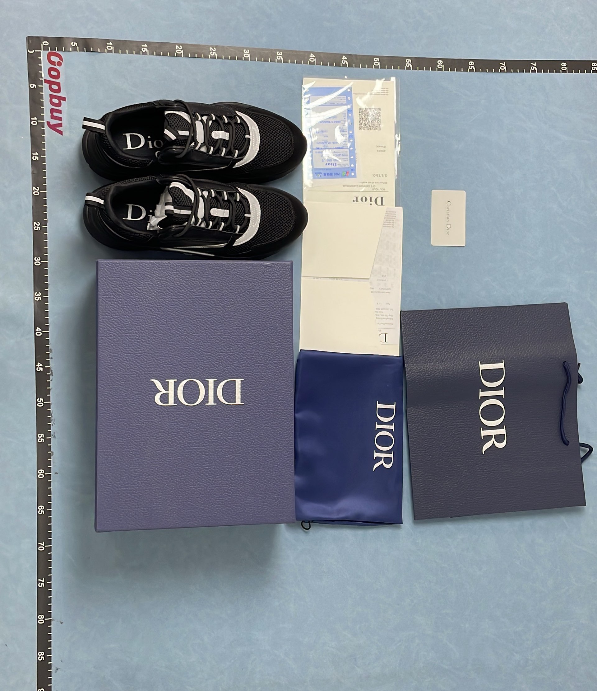 Dior B23 High-Top Sneakers for Men and Women