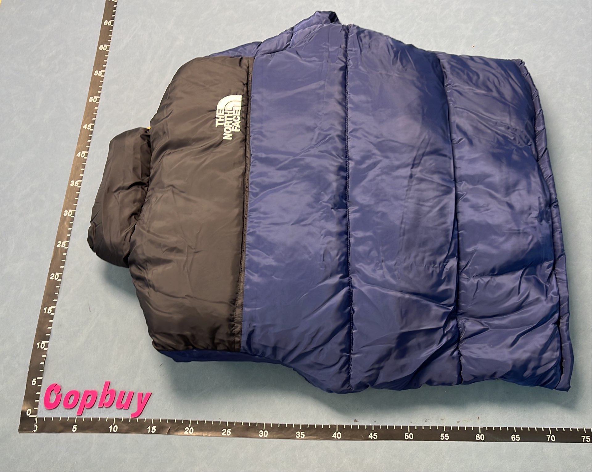 TNF Retro Nuptse Jacket 1996 Puffer
