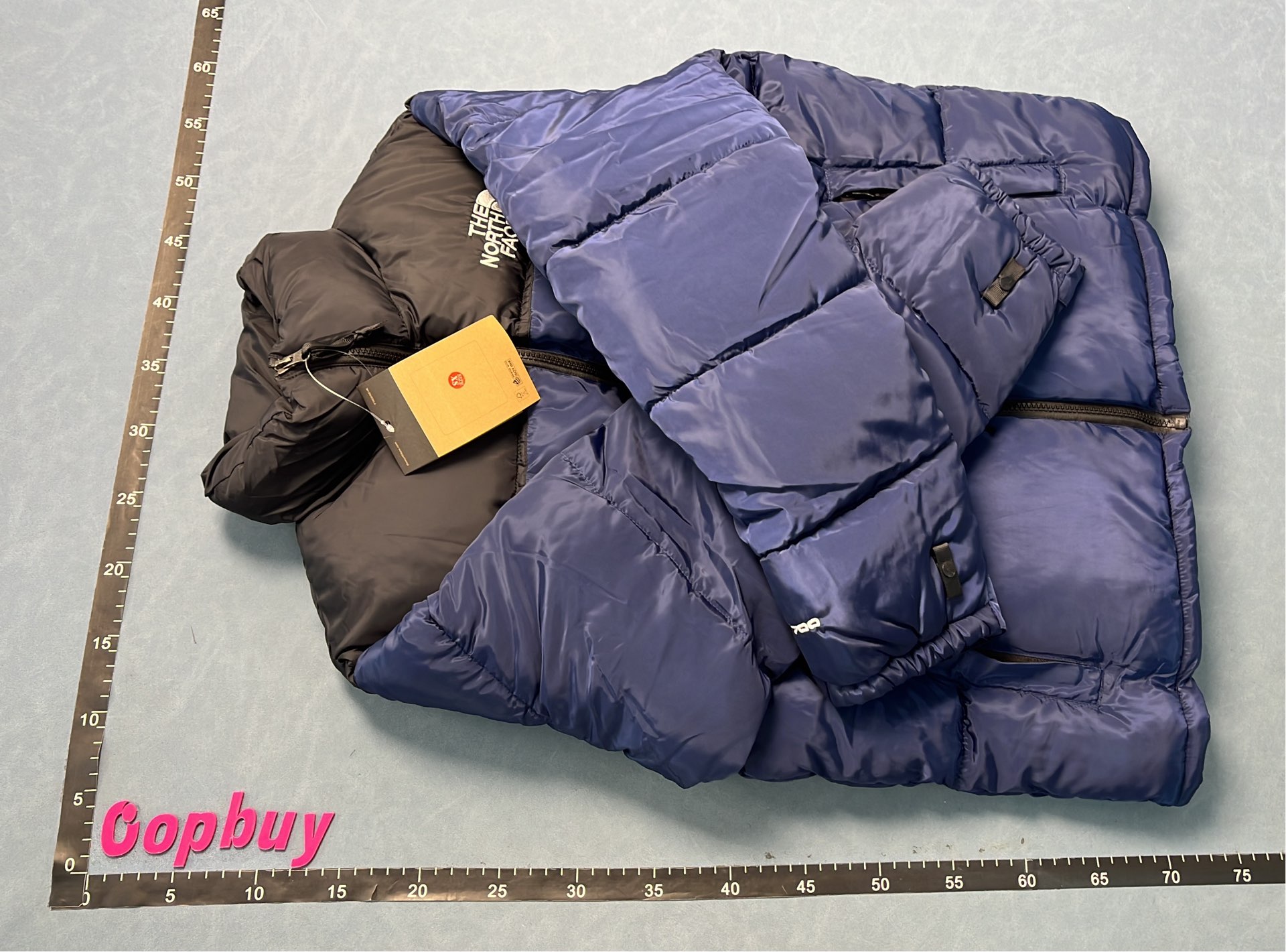TNF Retro Nuptse Jacket 1996 Puffer