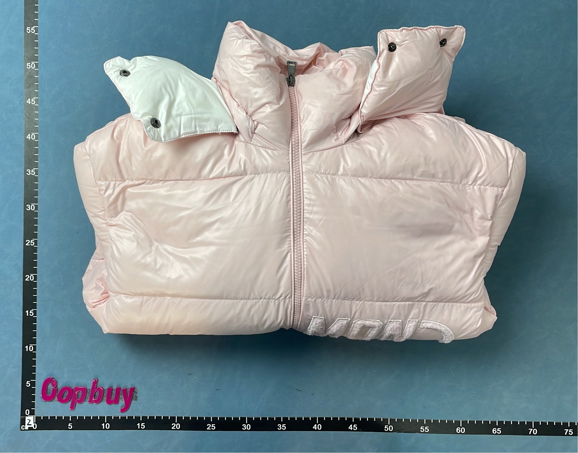 Moncler Puffer Jackets for Women