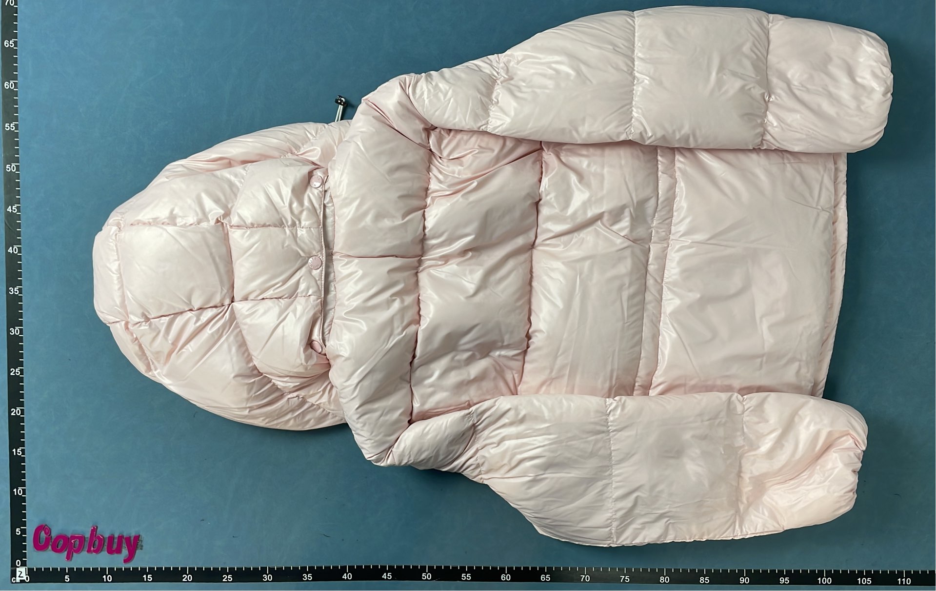 Moncler Puffer Jackets for Women