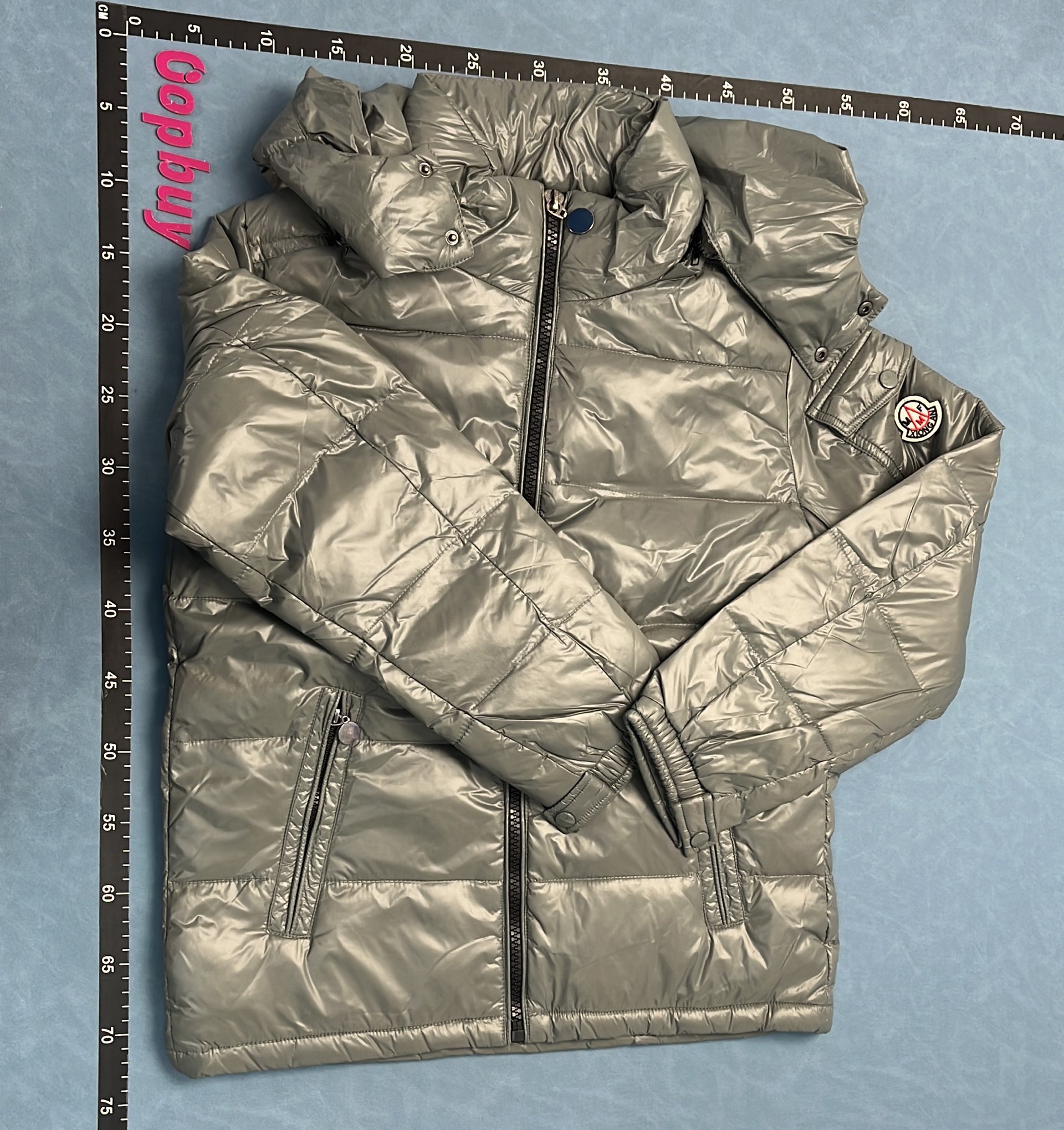 Moncler Black Puffer Jacket with Hood