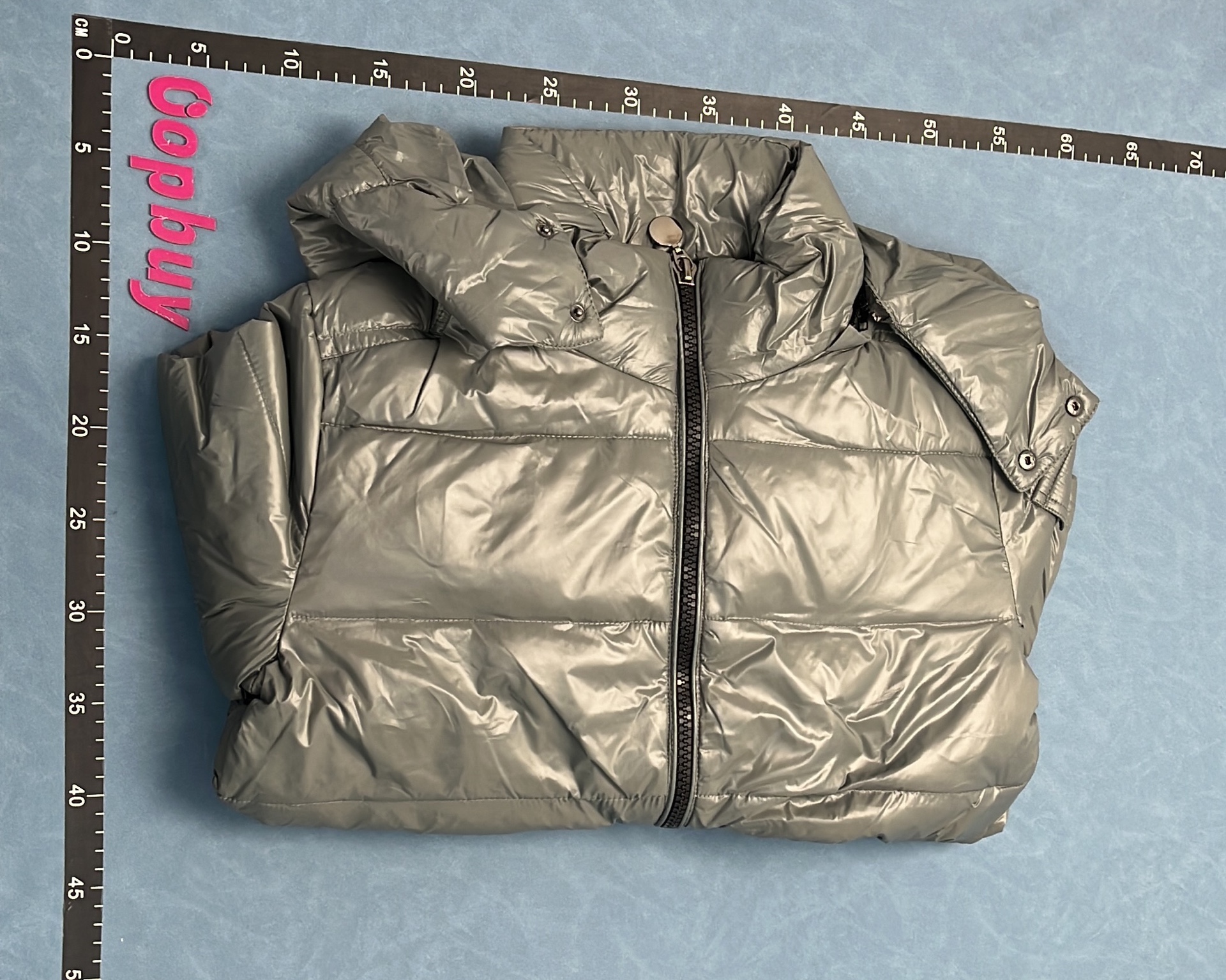 Moncler Black Puffer Jacket with Hood