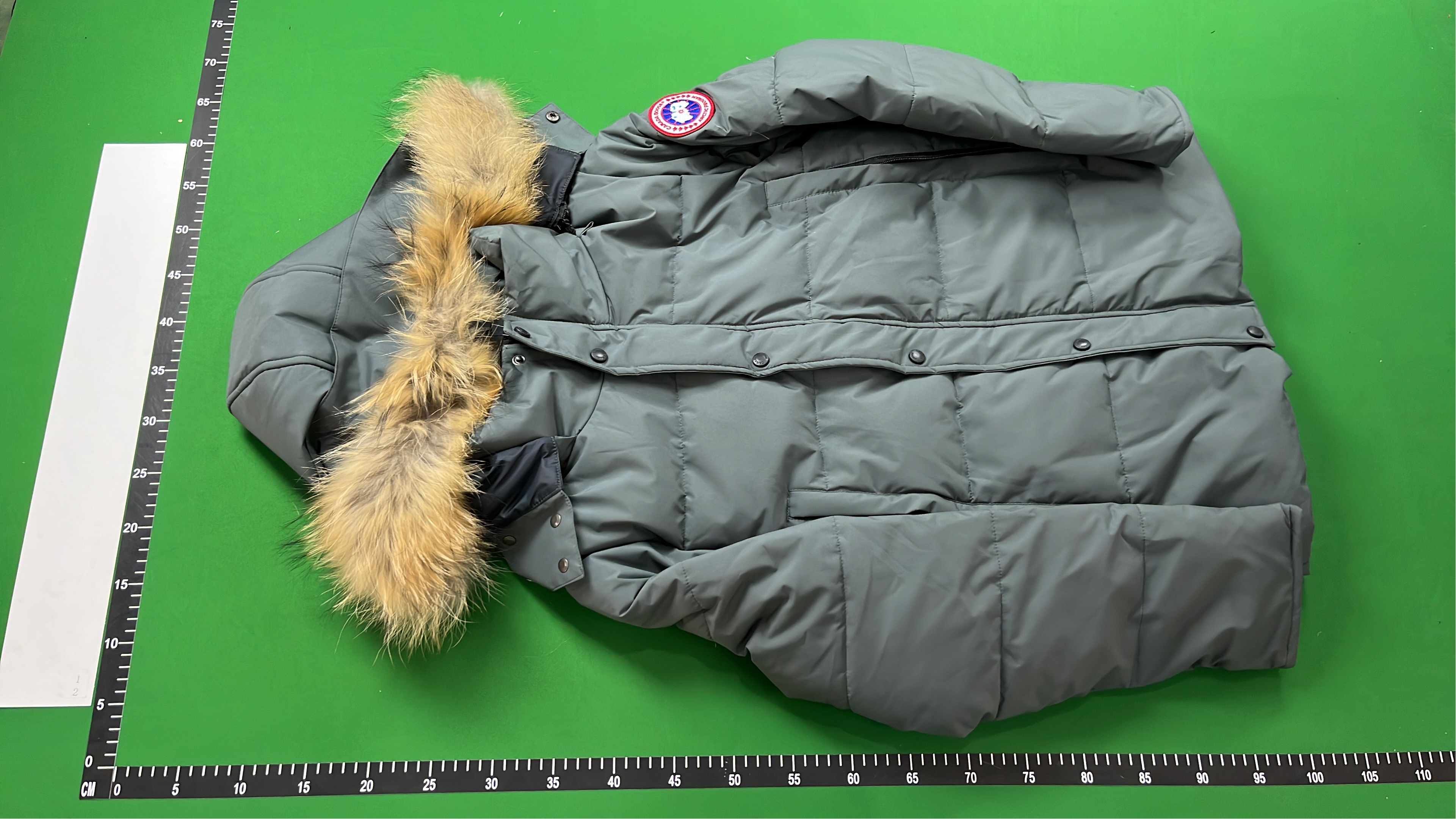 Canada Goose Down Jacket with Fur Trim Hood